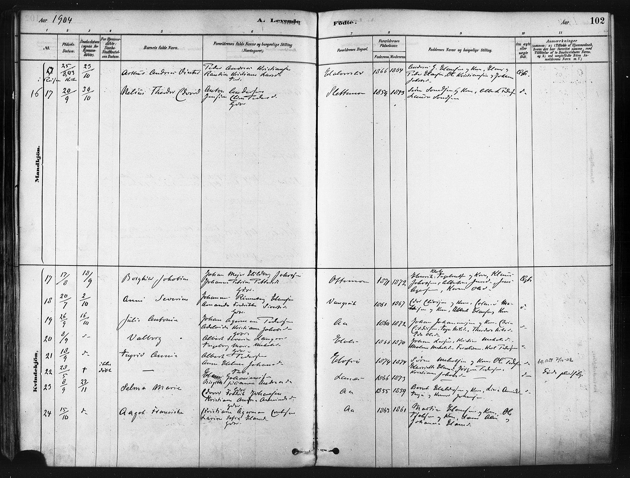 Tranøy sokneprestkontor, SATØ/S-1313/I/Ia/Iaa/L0009kirke: Parish register (official) no. 9, 1878-1904, p. 102
