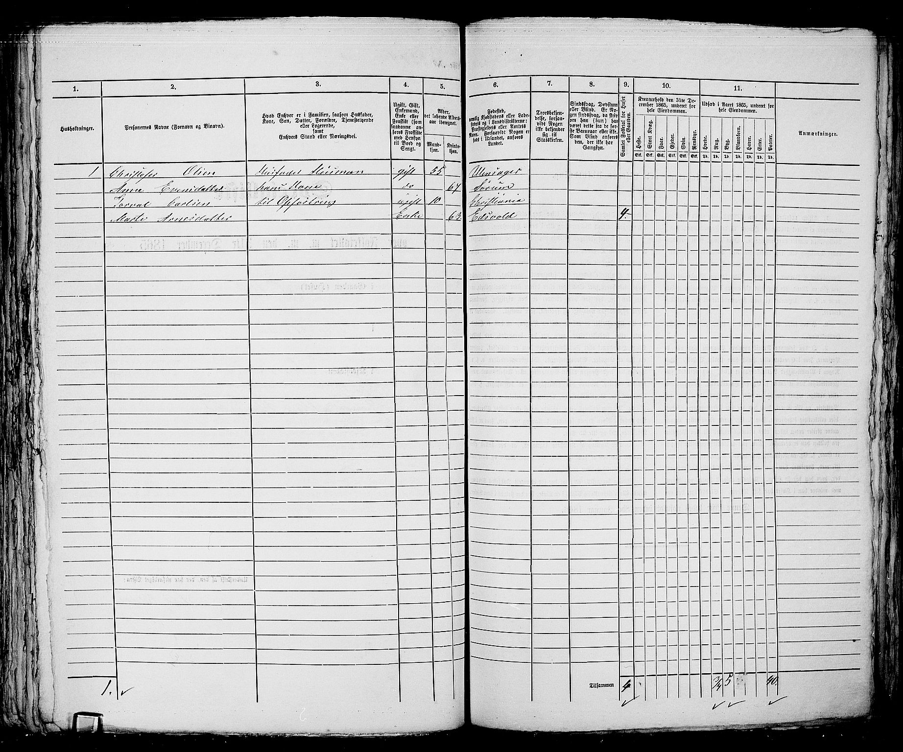 RA, 1865 census for Kristiania, 1865, p. 5135