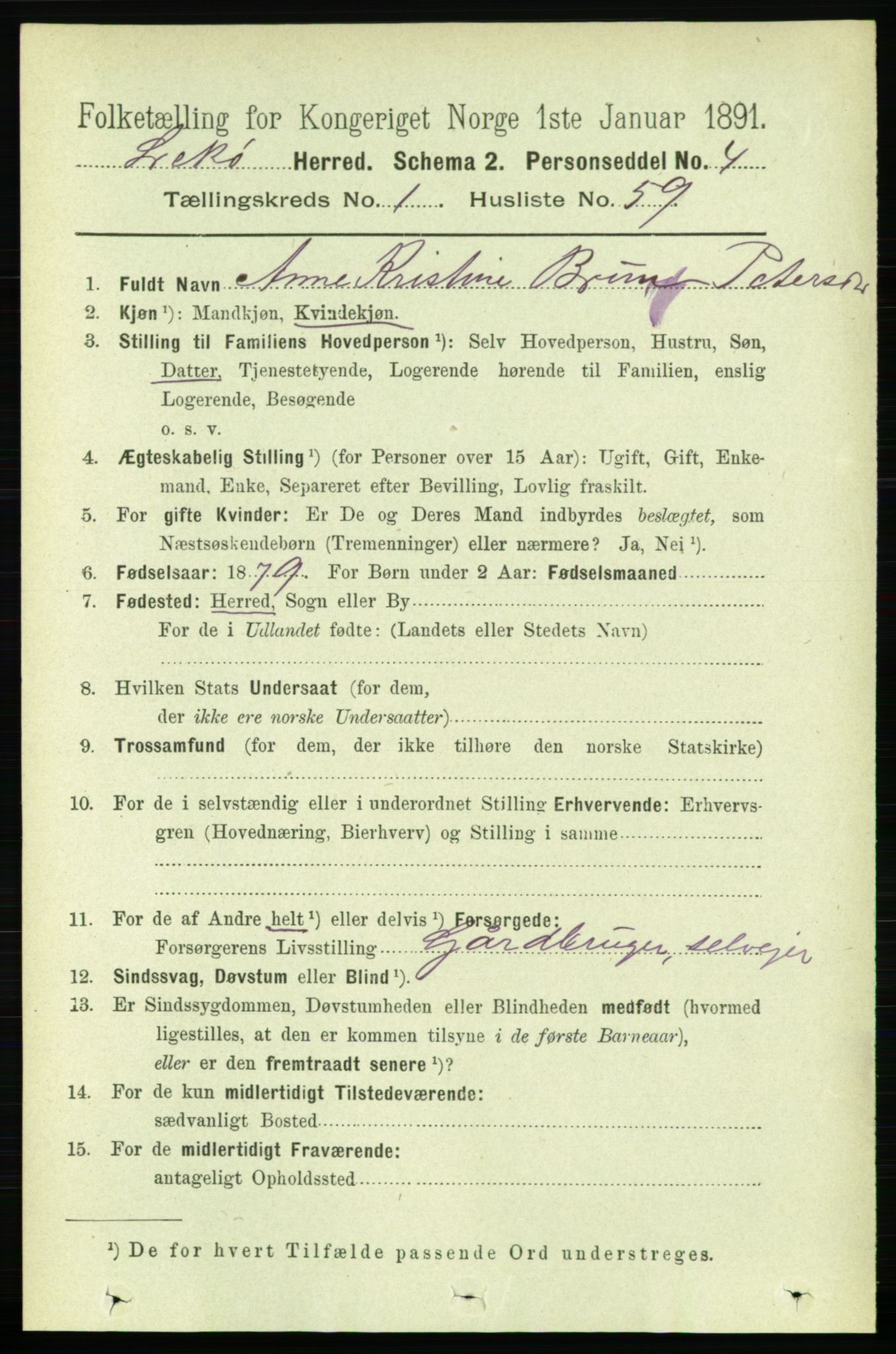 RA, 1891 census for 1755 Leka, 1891, p. 503