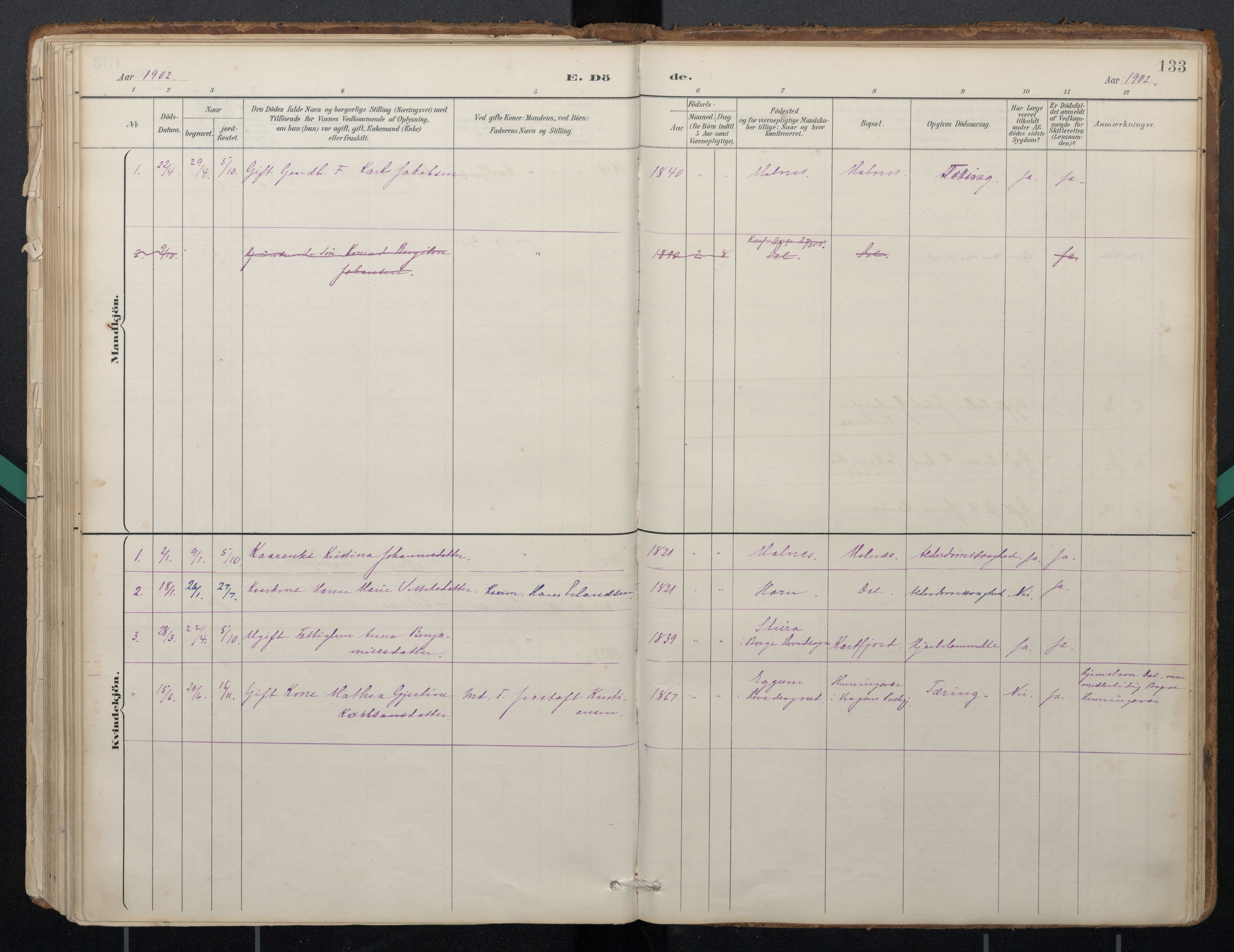 Ministerialprotokoller, klokkerbøker og fødselsregistre - Nordland, AV/SAT-A-1459/884/L1193: Parish register (official) no. 884A01, 1888-1905, p. 133