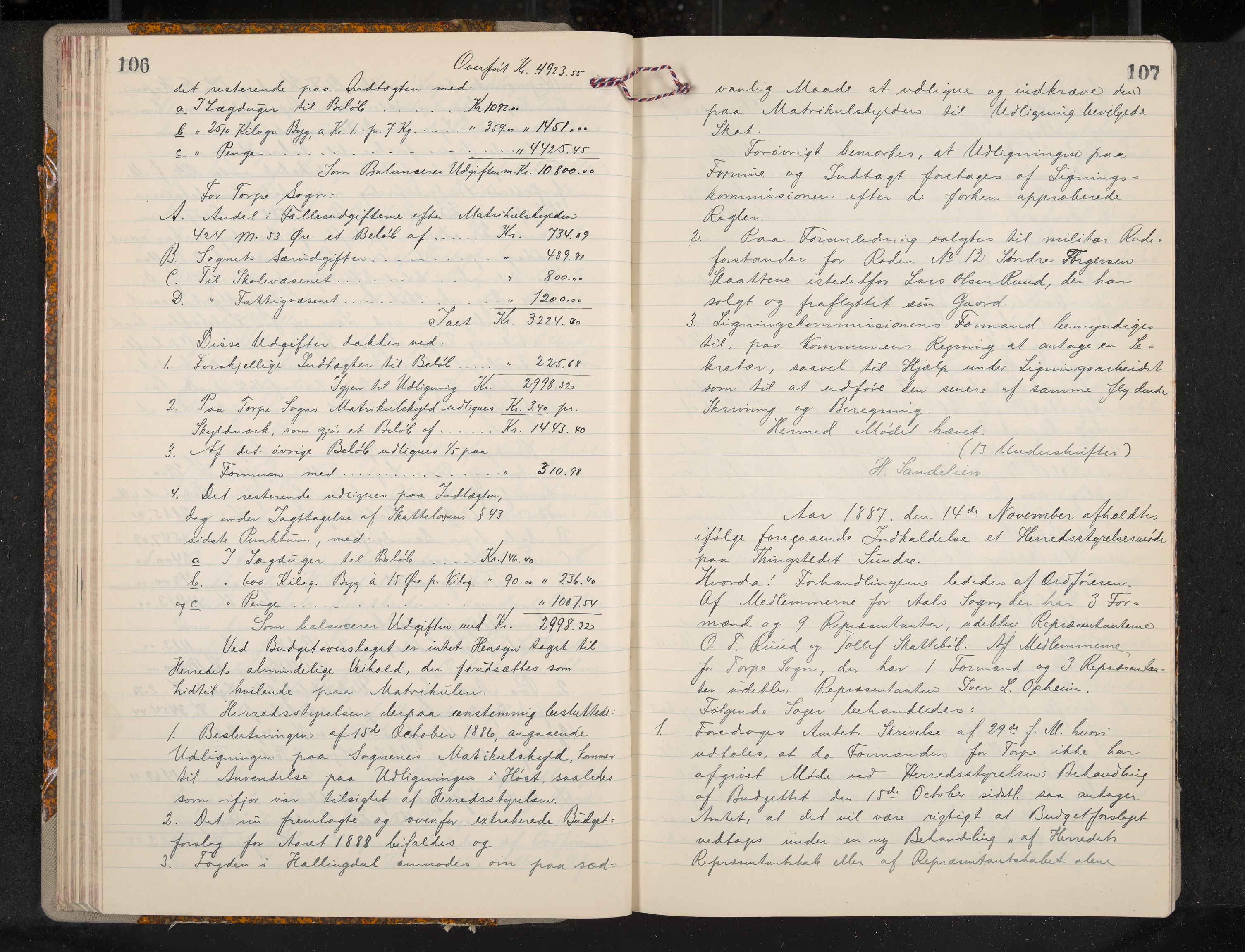 Ål formannskap og sentraladministrasjon, IKAK/0619021/A/Aa/L0004: Utskrift av møtebok, 1881-1901, p. 106-107