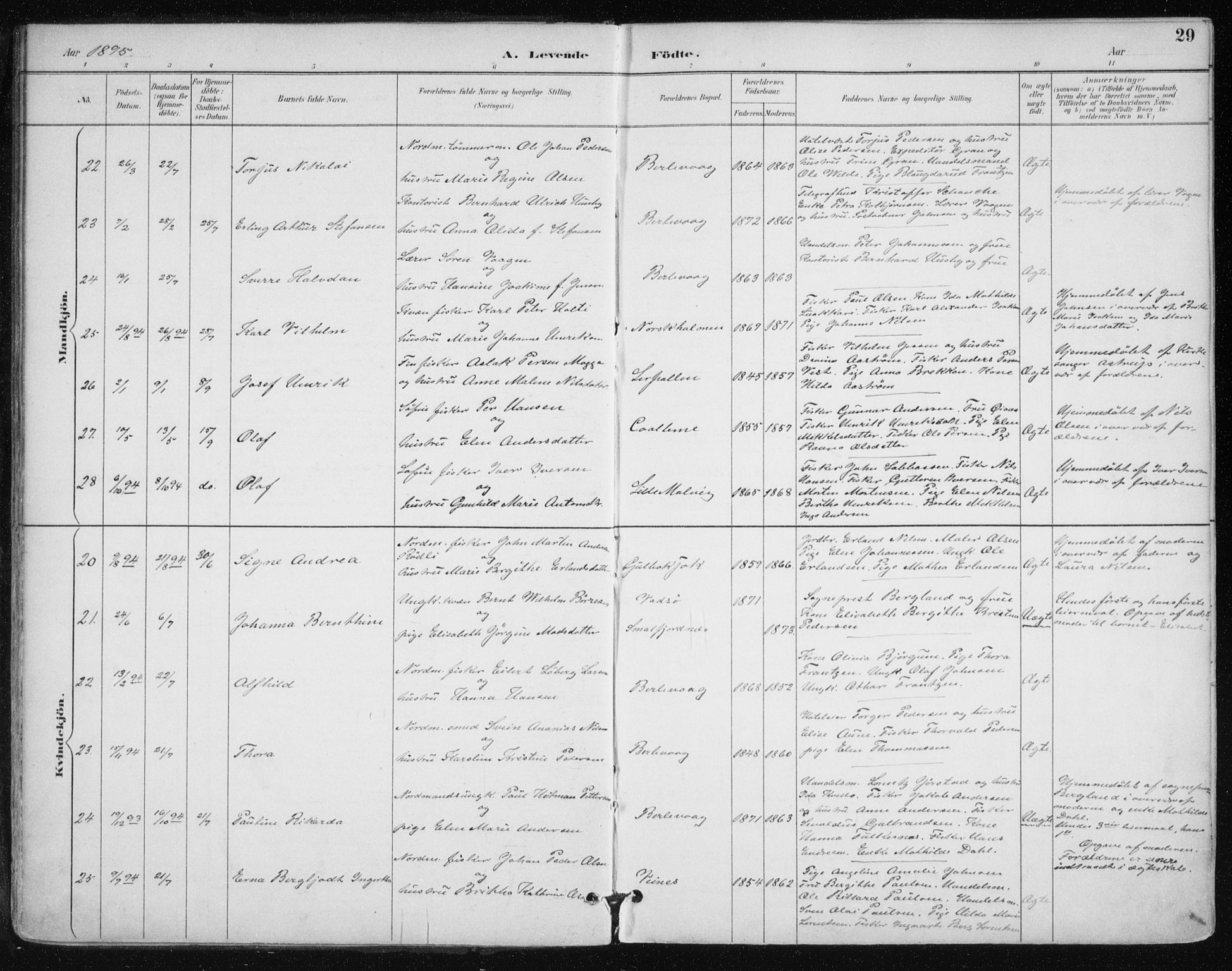 Tana sokneprestkontor, SATØ/S-1334/H/Ha/L0005kirke: Parish register (official) no. 5, 1891-1903, p. 29