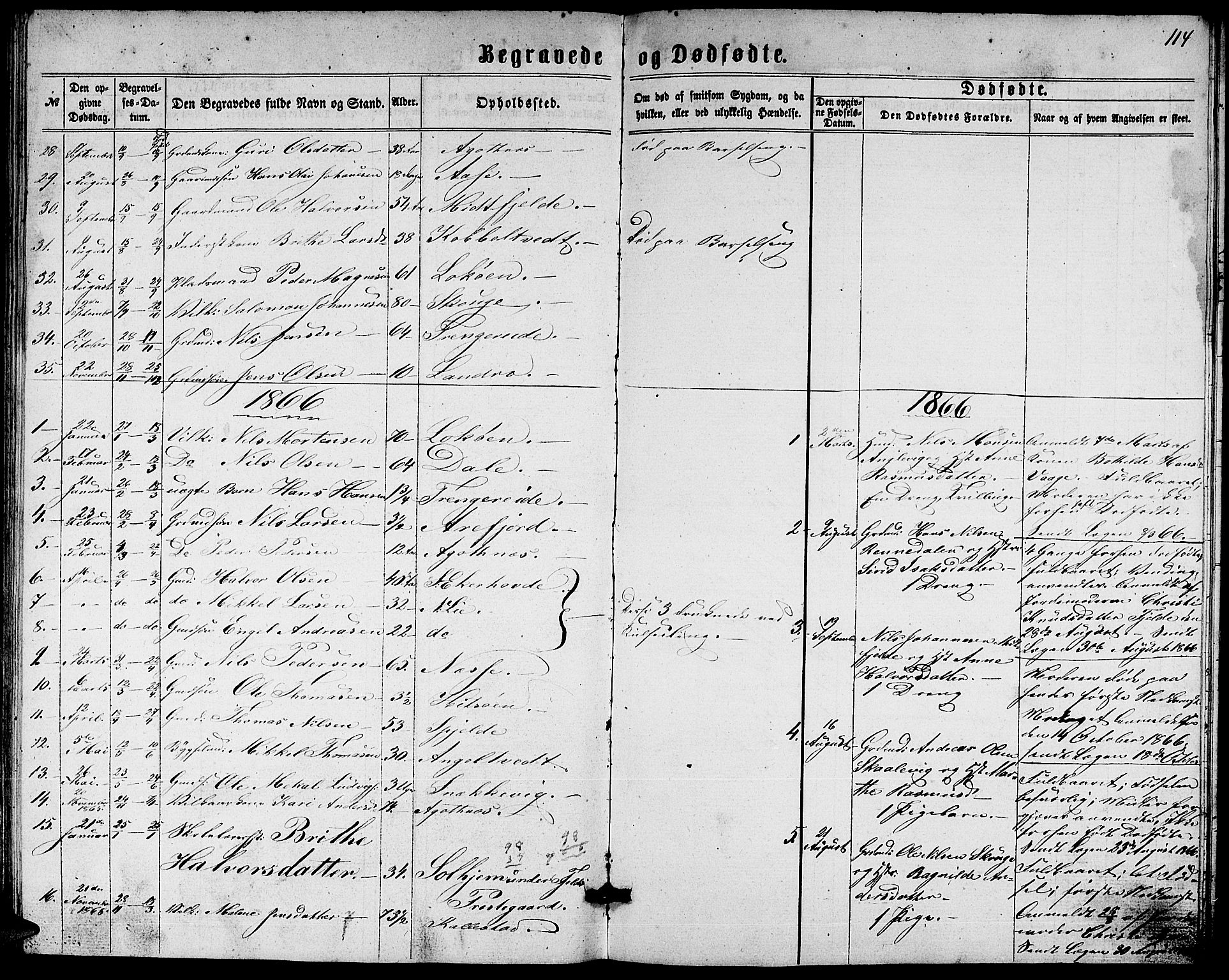 Fjell sokneprestembete, SAB/A-75301/H/Hab: Parish register (copy) no. A 1, 1861-1870, p. 114