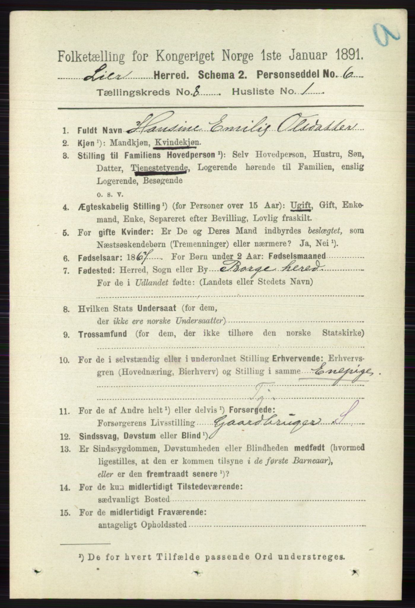 RA, 1891 census for 0626 Lier, 1891, p. 5066