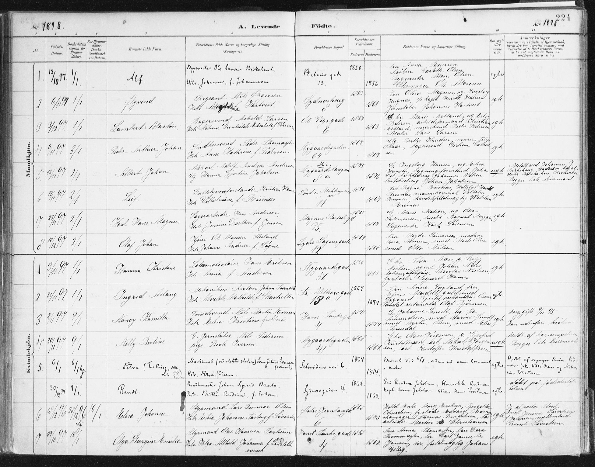 Johanneskirken sokneprestembete, AV/SAB-A-76001/H/Haa/L0001: Parish register (official) no. A 1, 1885-1900, p. 224