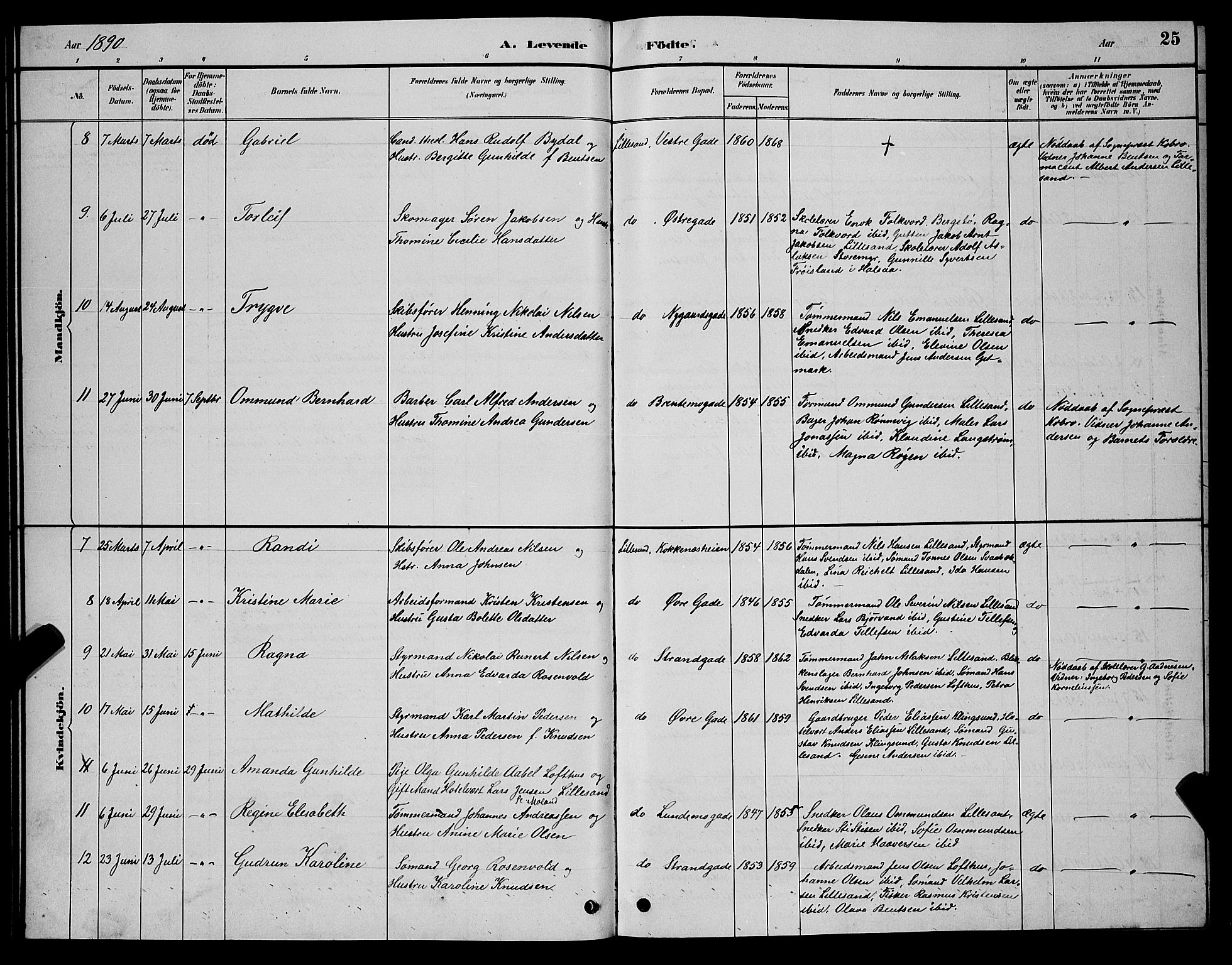 Vestre Moland sokneprestkontor, AV/SAK-1111-0046/F/Fb/Fba/L0001: Parish register (copy) no. B 1, 1884-1903, p. 25