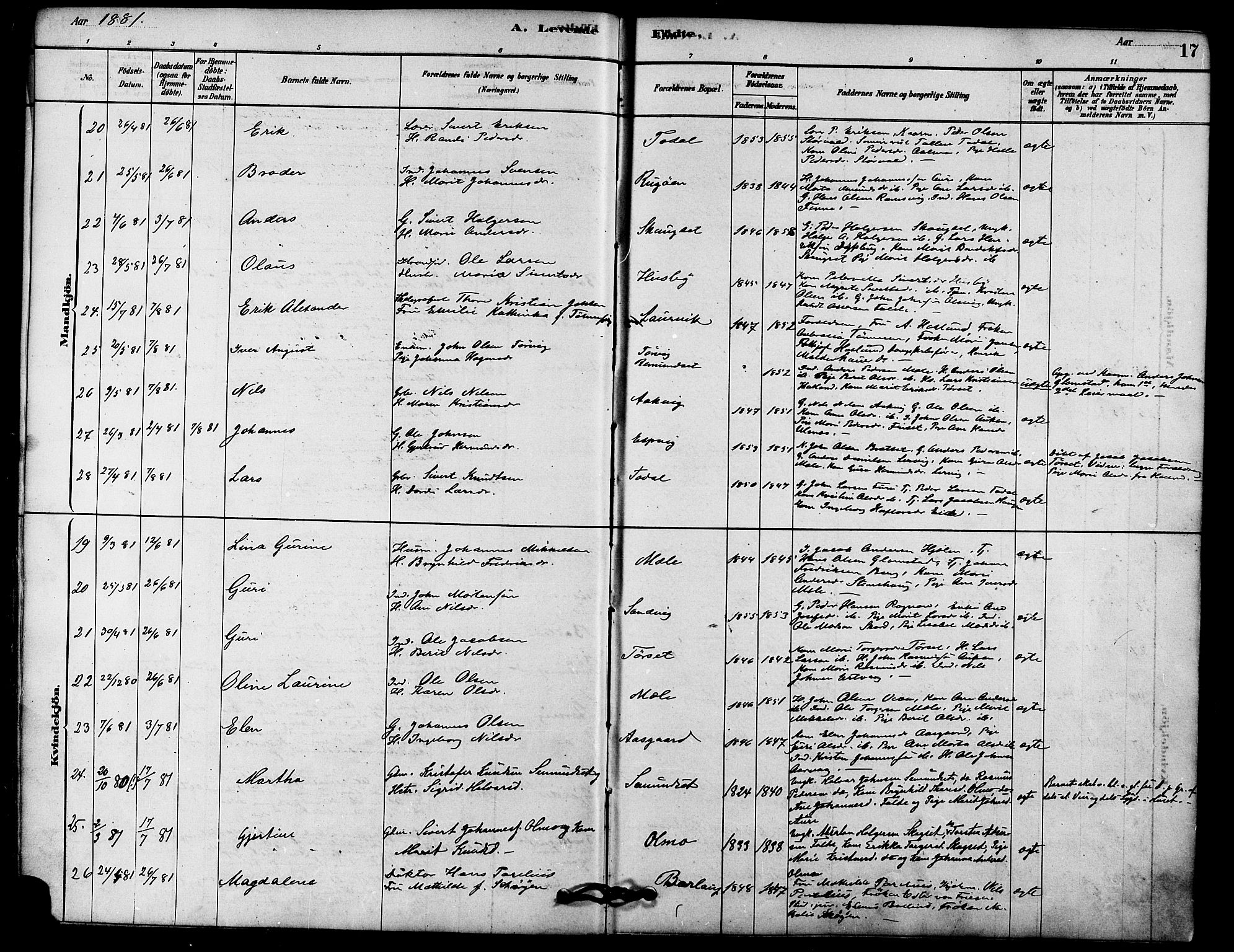 Ministerialprotokoller, klokkerbøker og fødselsregistre - Møre og Romsdal, AV/SAT-A-1454/578/L0906: Parish register (official) no. 578A05, 1878-1886, p. 17