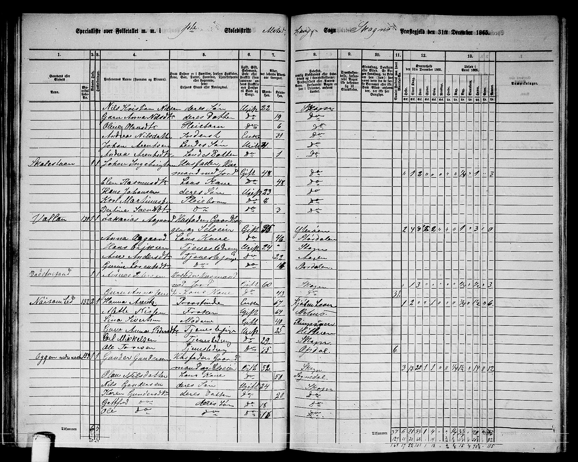 RA, 1865 census for Skogn, 1865, p. 45