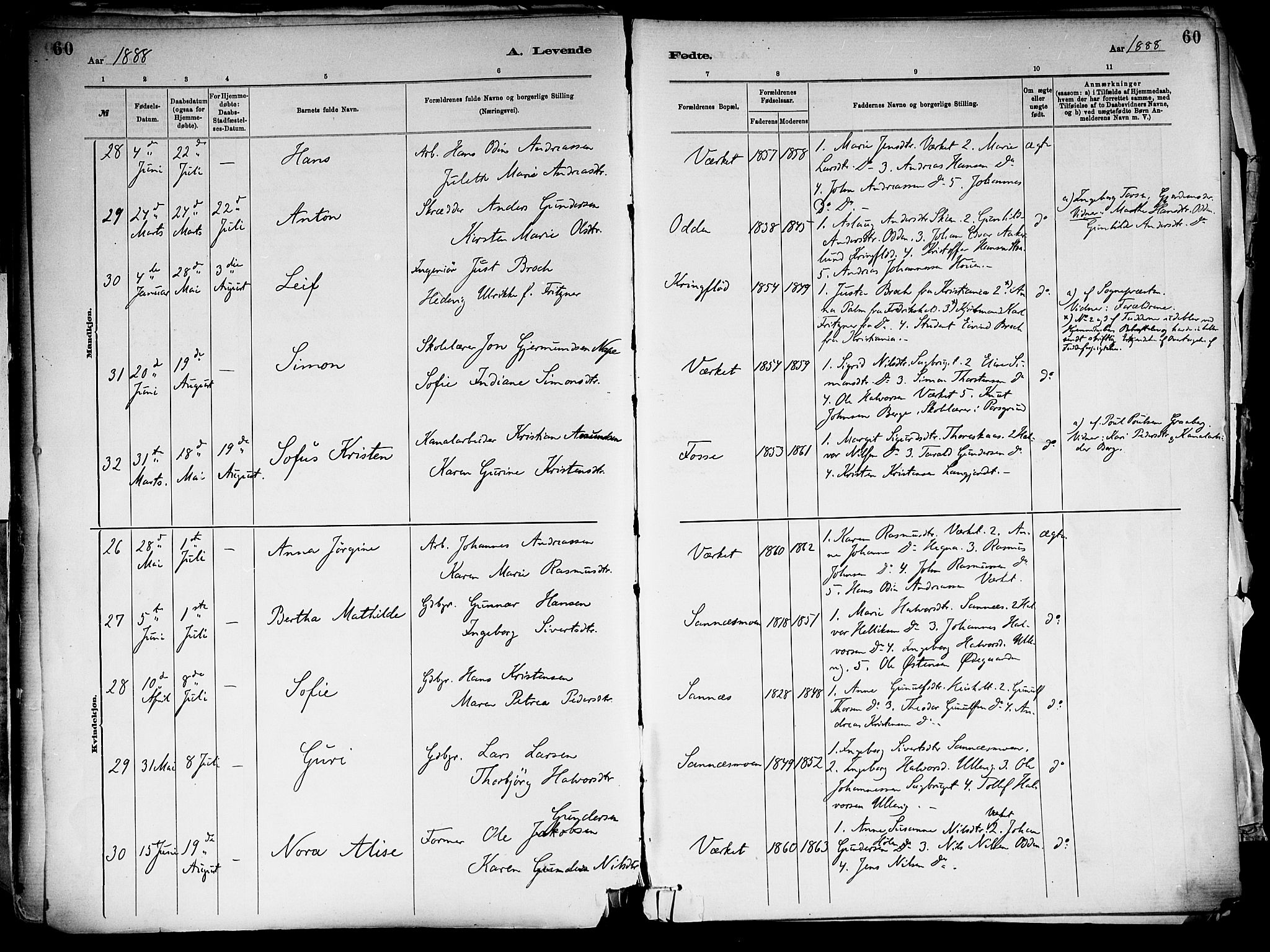 Holla kirkebøker, AV/SAKO-A-272/F/Fa/L0008: Parish register (official) no. 8, 1882-1897, p. 60