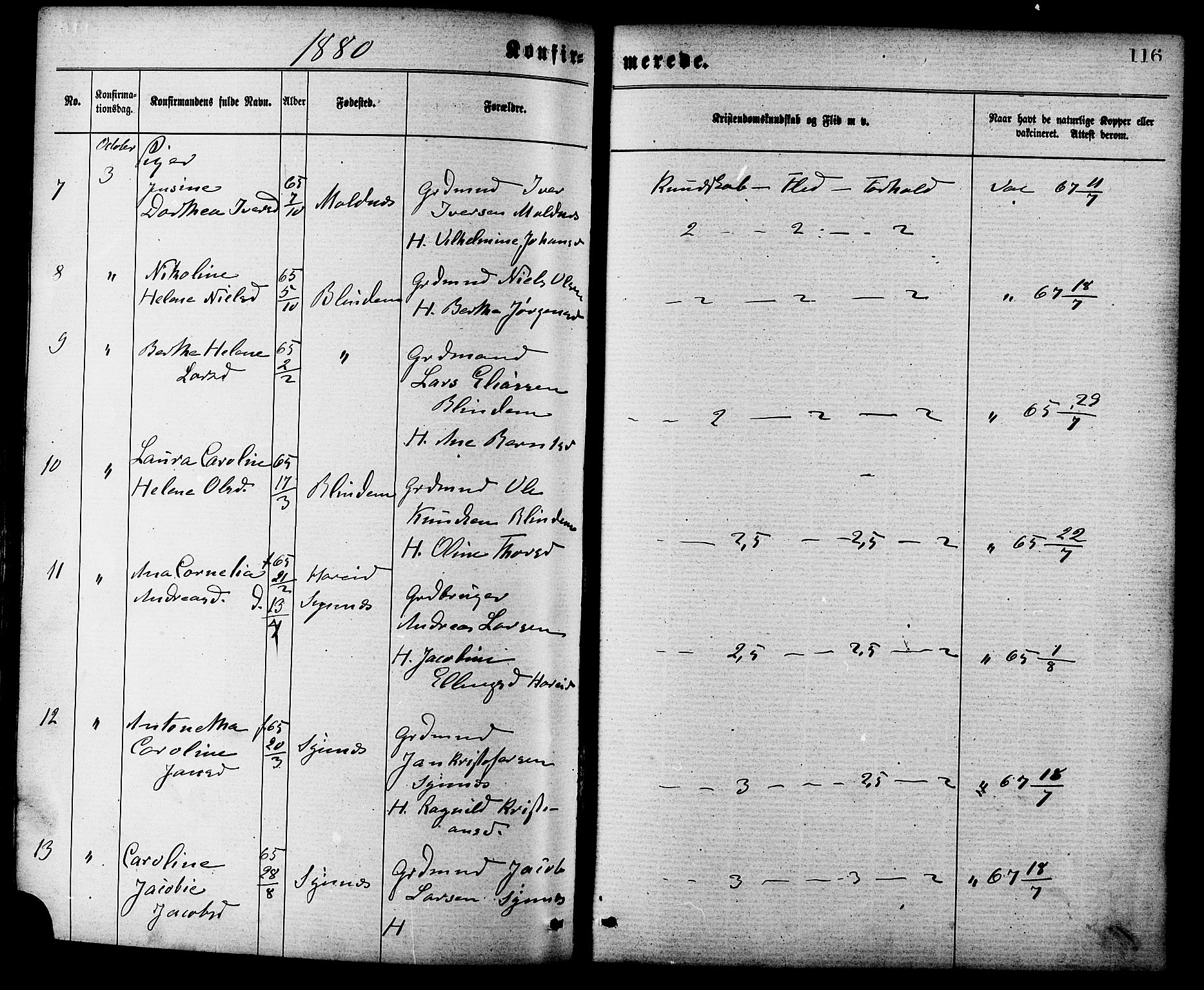 Ministerialprotokoller, klokkerbøker og fødselsregistre - Møre og Romsdal, AV/SAT-A-1454/537/L0519: Parish register (official) no. 537A03, 1876-1889, p. 116