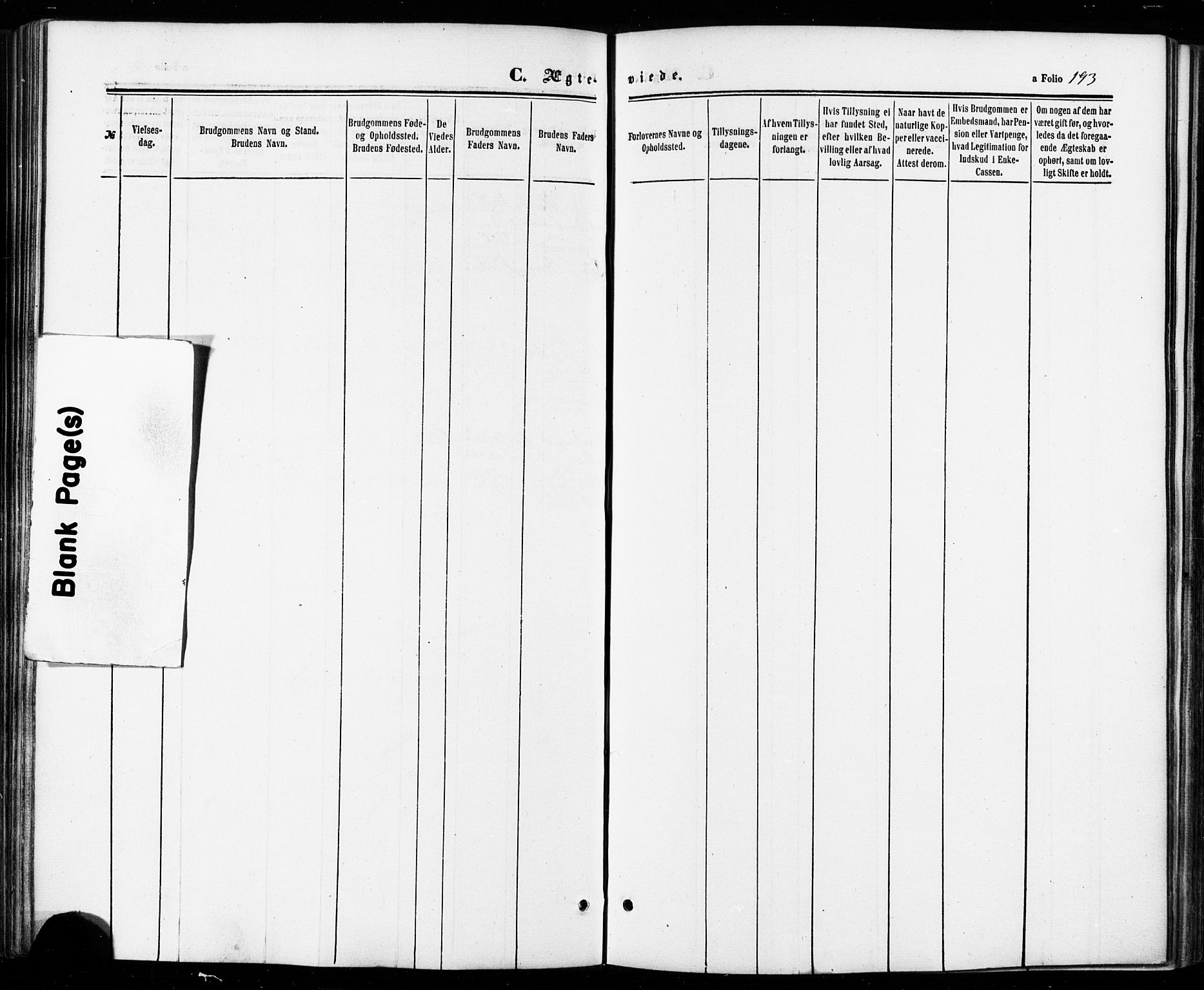 Ministerialprotokoller, klokkerbøker og fødselsregistre - Sør-Trøndelag, SAT/A-1456/672/L0856: Parish register (official) no. 672A08, 1861-1881, p. 193
