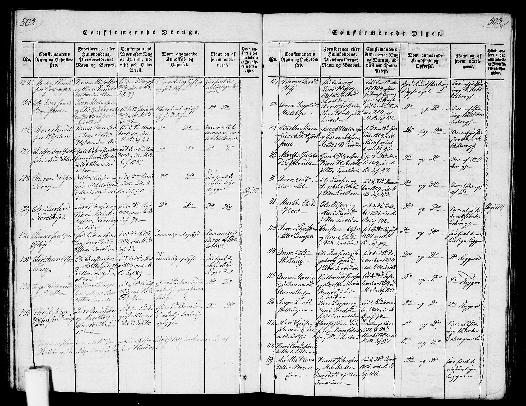 Nannestad prestekontor Kirkebøker, AV/SAO-A-10414a/G/Ga/L0001: Parish register (copy) no. I 1, 1815-1839, p. 502-503