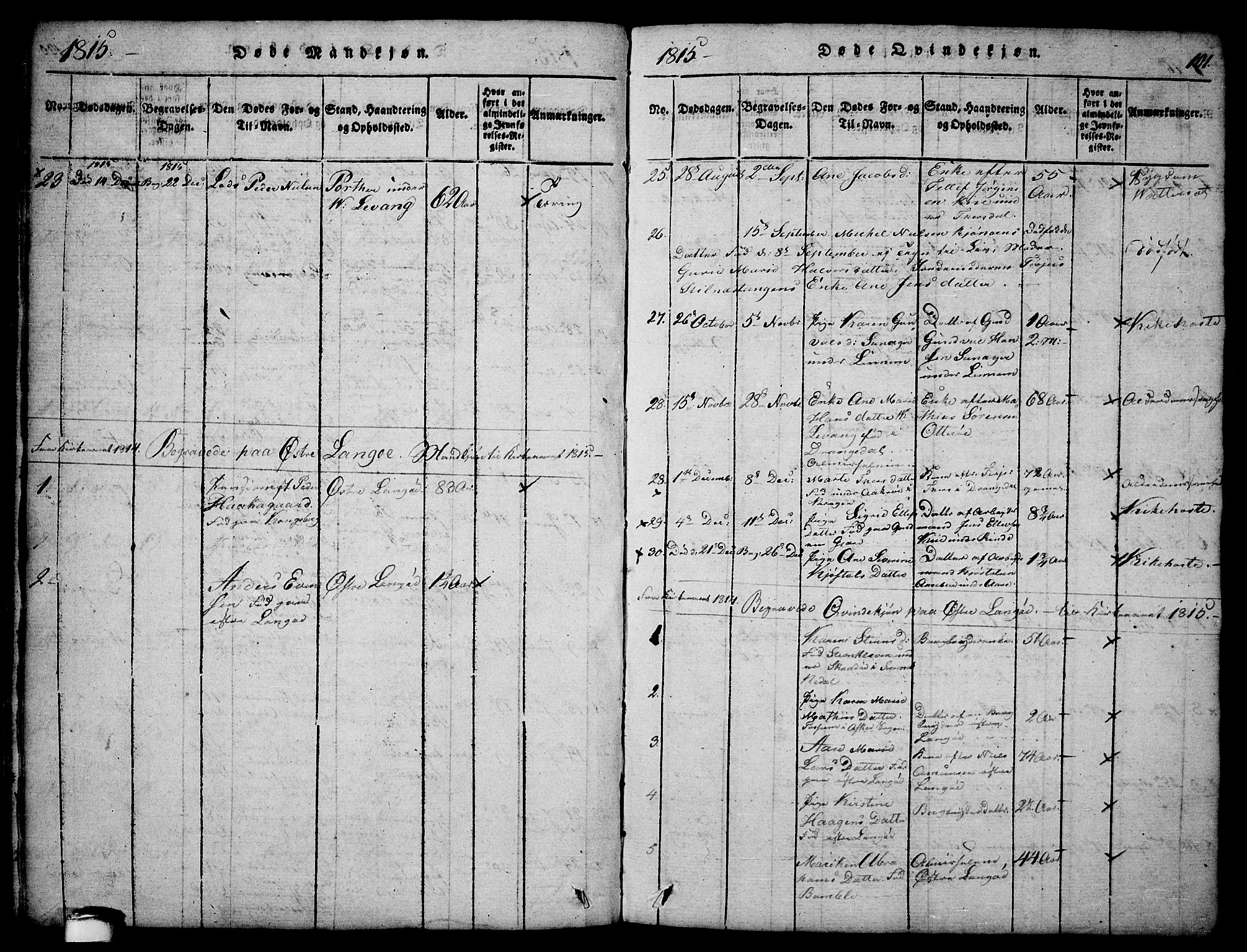 Sannidal kirkebøker, AV/SAKO-A-296/F/Fa/L0004: Parish register (official) no. 4, 1814-1829, p. 101