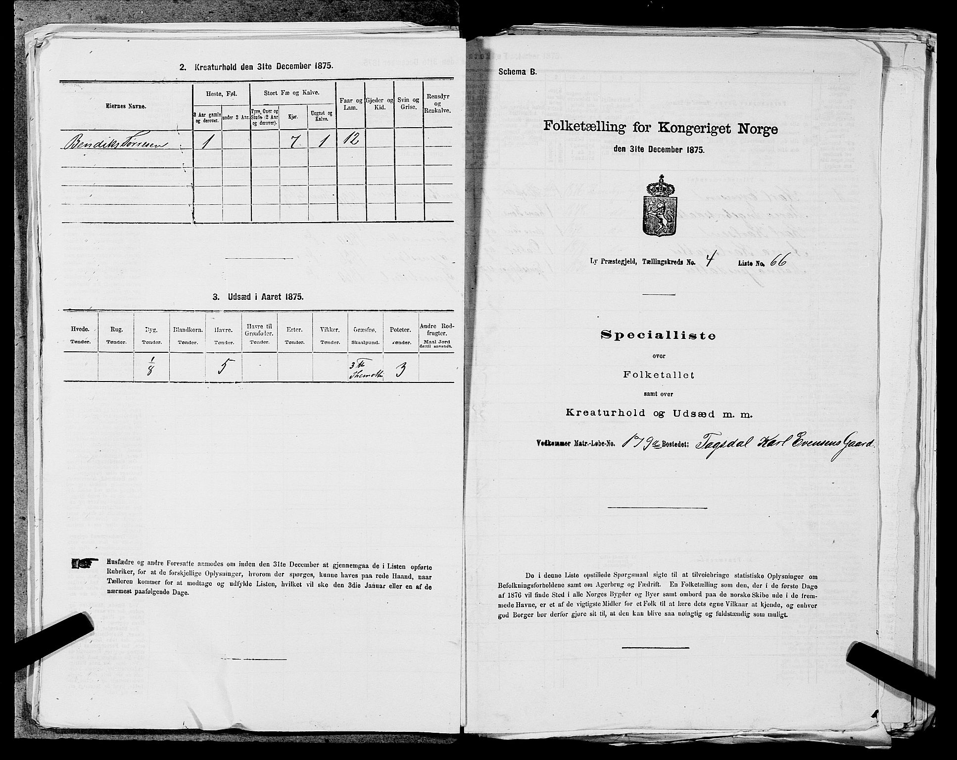 SAST, 1875 census for 1121P Lye, 1875, p. 606