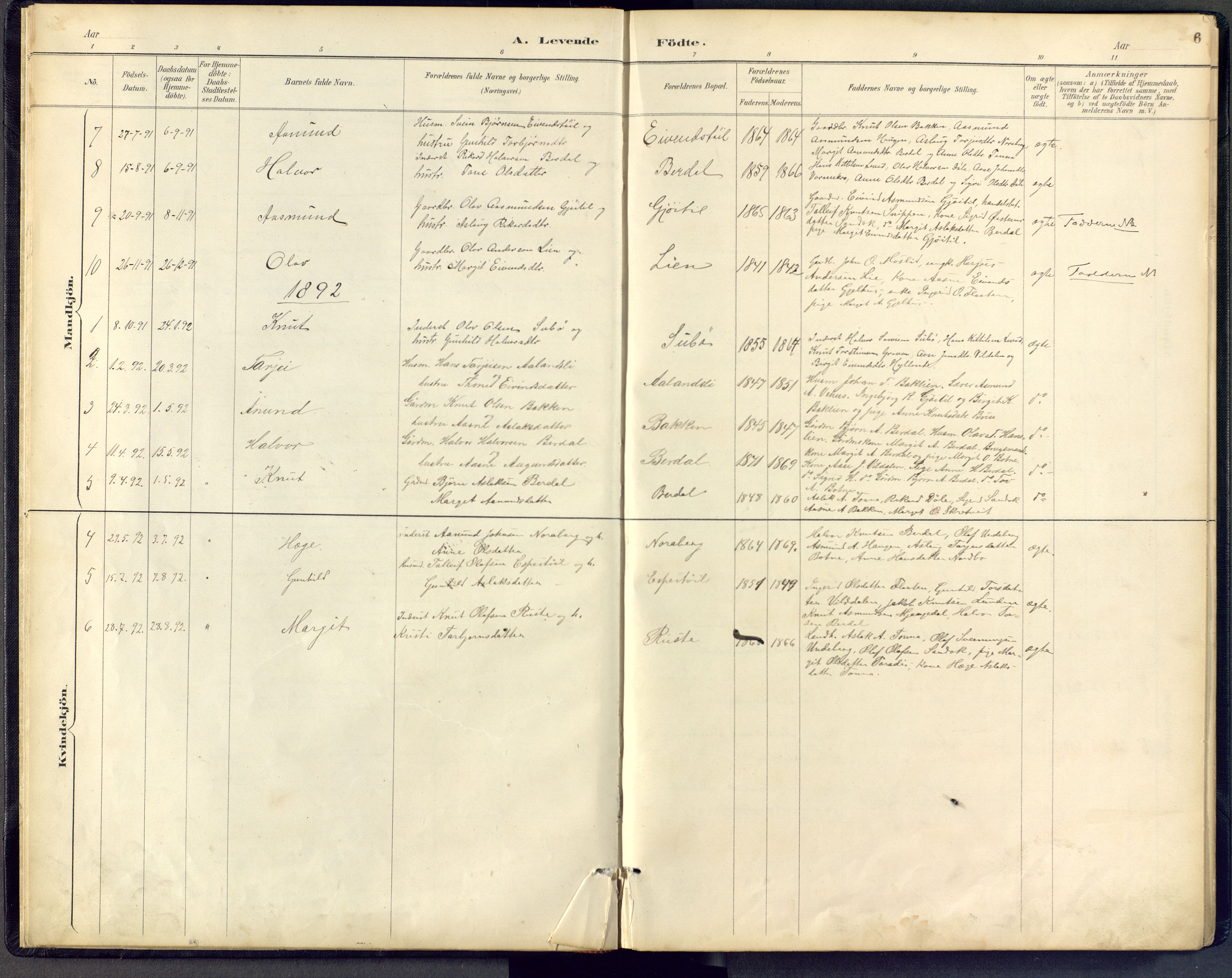 Vinje kirkebøker, SAKO/A-312/F/Fb/L0002: Parish register (official) no. II 2, 1887-1925, p. 6