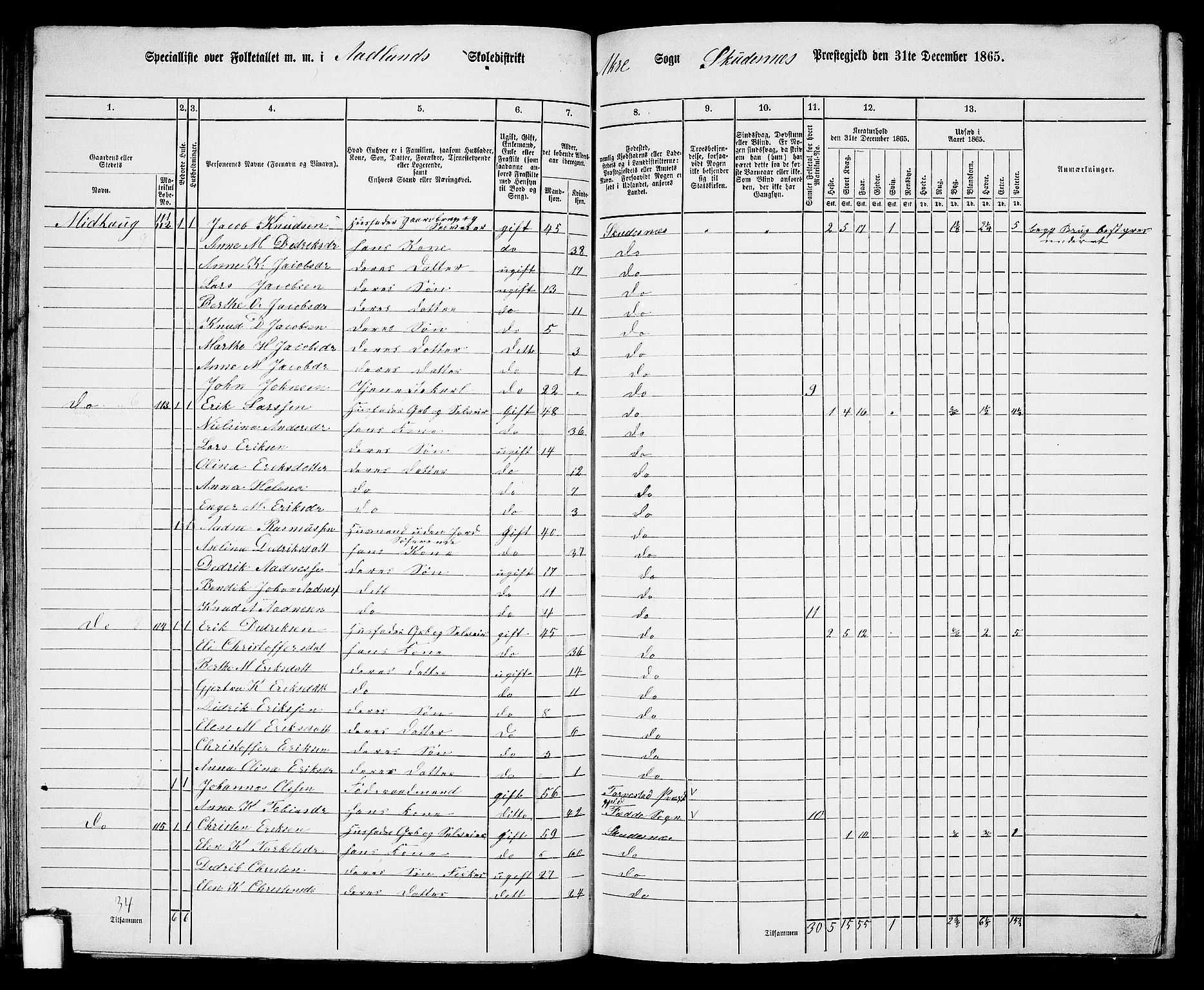 RA, 1865 census for Skudenes, 1865, p. 69