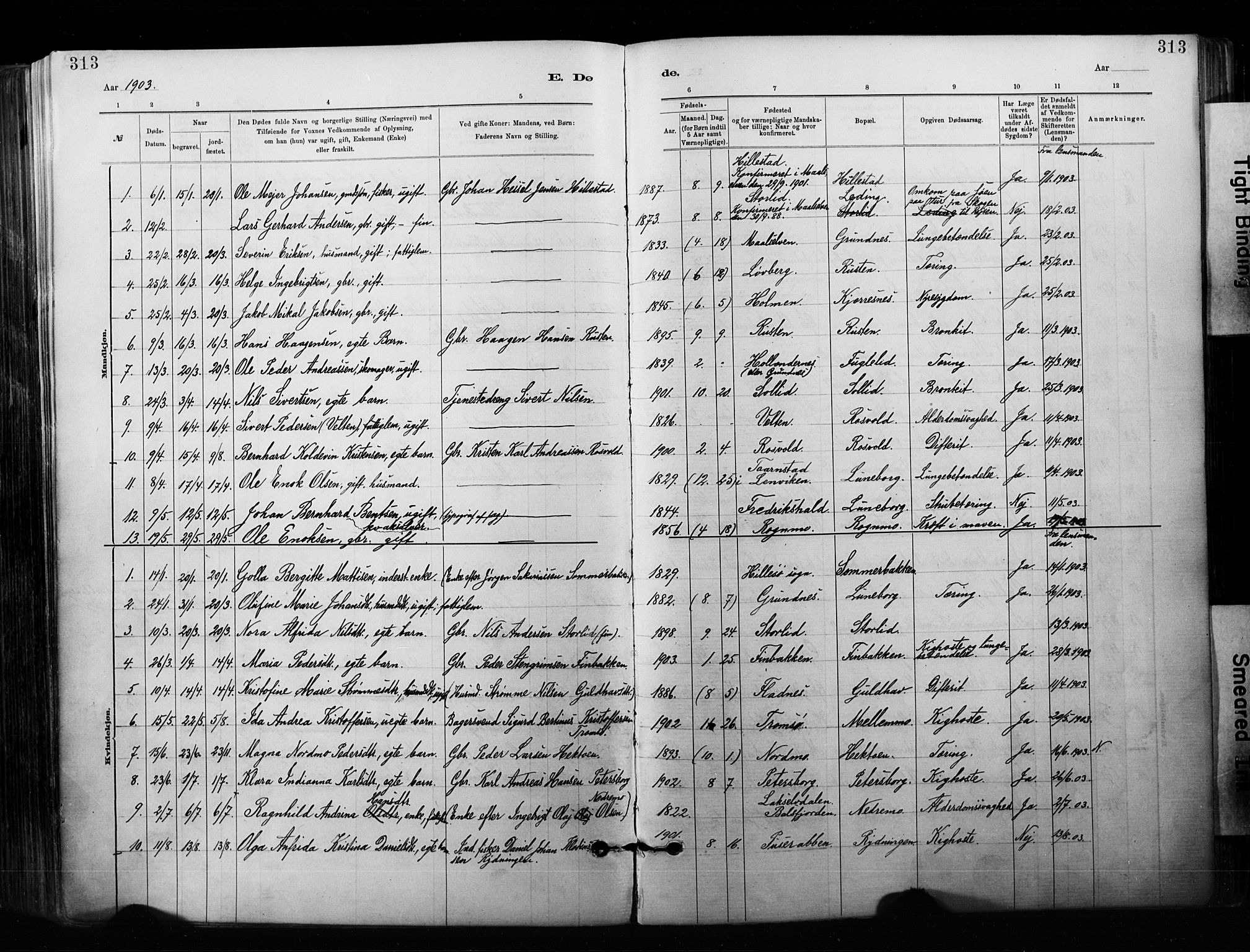 Målselv sokneprestembete, SATØ/S-1311/G/Ga/Gaa/L0007kirke: Parish register (official) no. 7, 1884-1903, p. 313