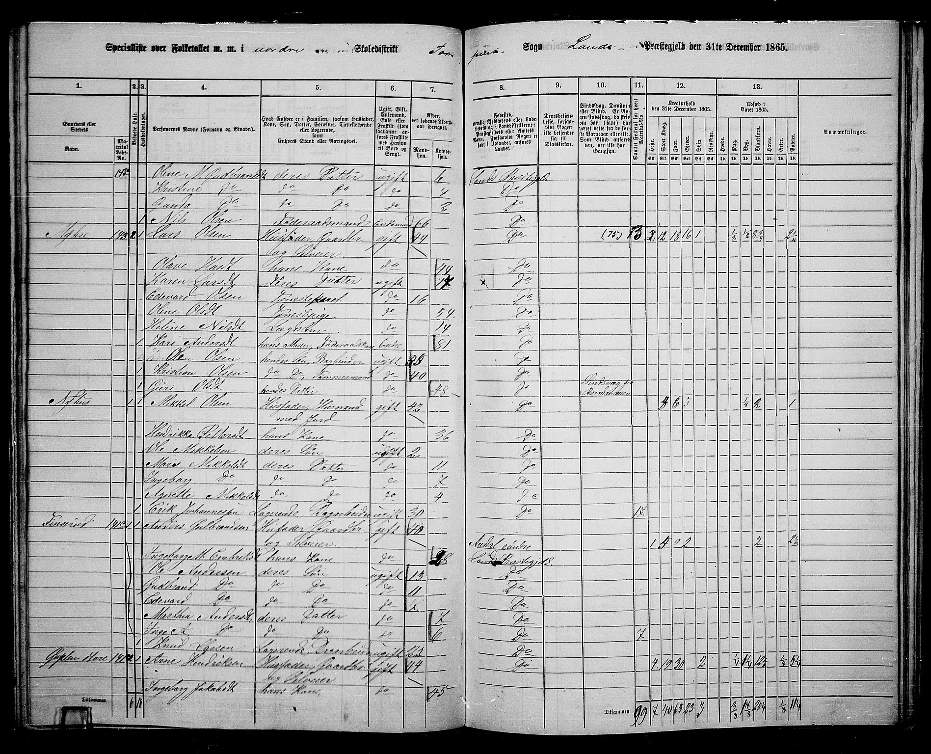 RA, 1865 census for Land, 1865, p. 153