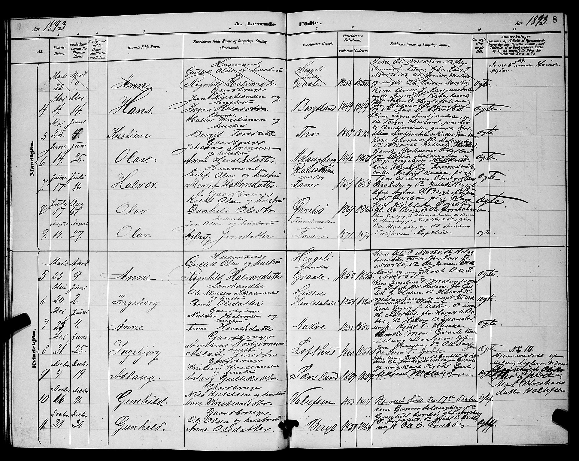 Hjartdal kirkebøker, AV/SAKO-A-270/G/Ga/L0003: Parish register (copy) no. I 3, 1889-1896, p. 8