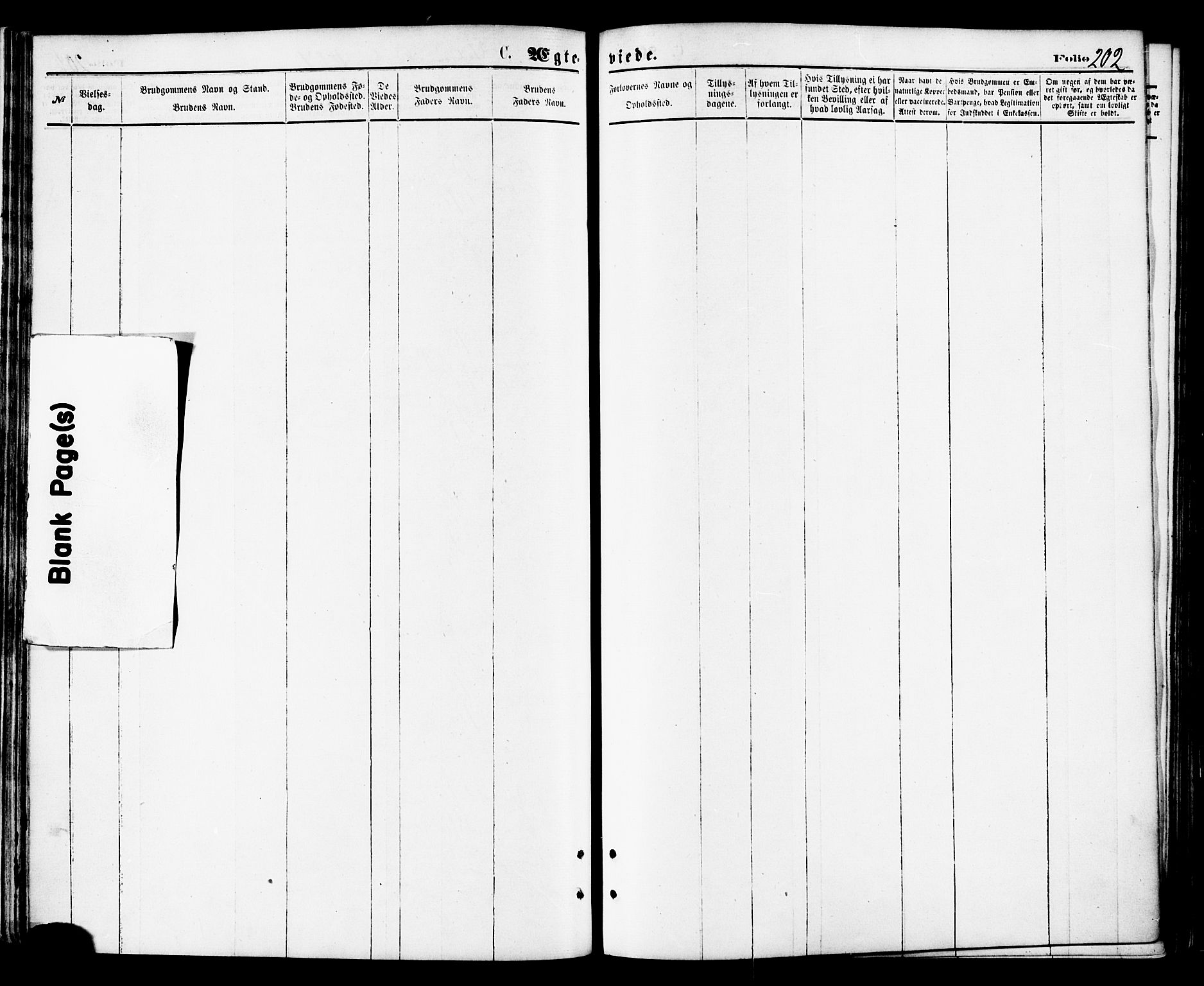 Ministerialprotokoller, klokkerbøker og fødselsregistre - Nordland, AV/SAT-A-1459/810/L0148: Parish register (official) no. 810A09 /1, 1874-1884, p. 202