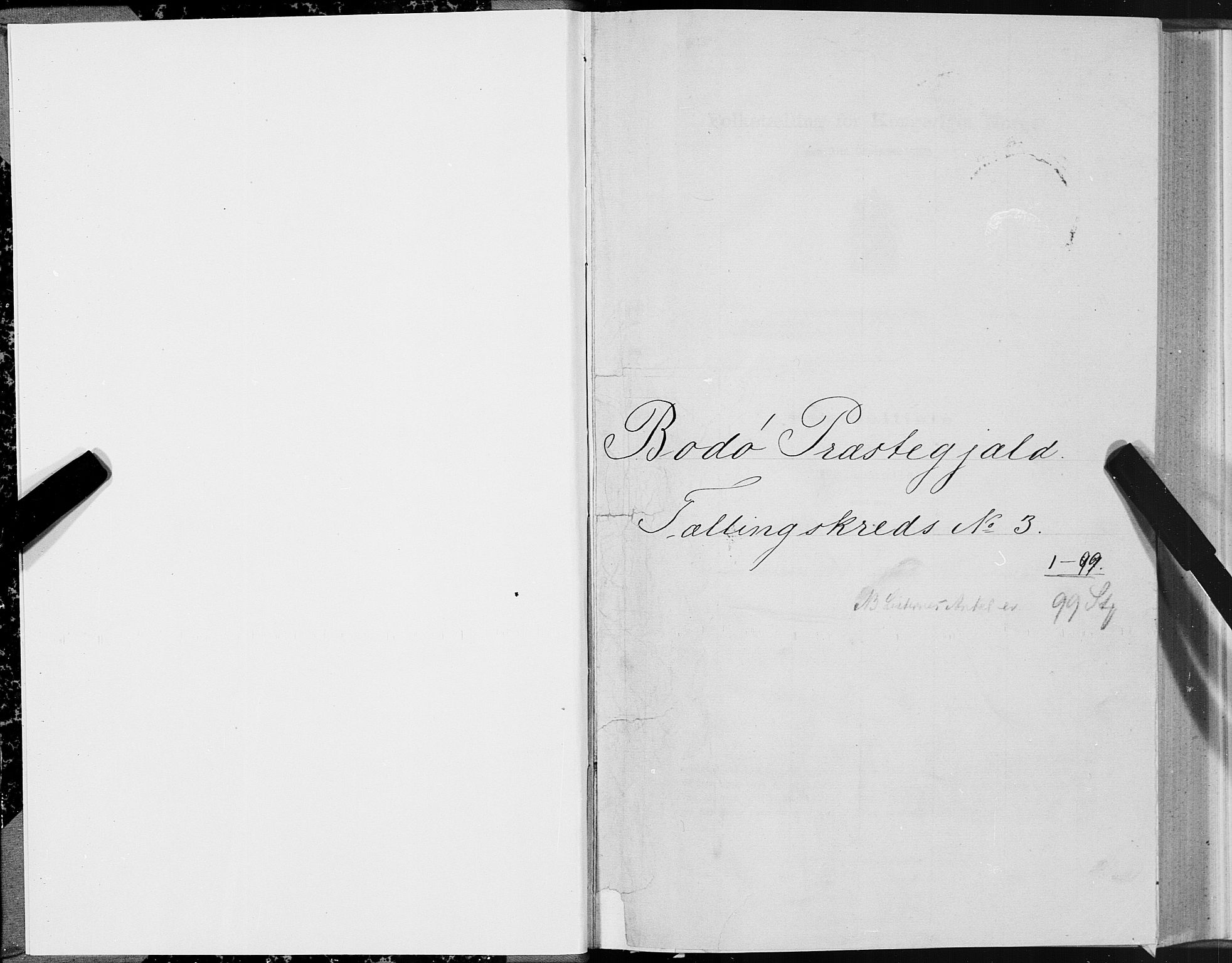 SAT, 1875 census for 1843L Bodø/Bodø, 1875