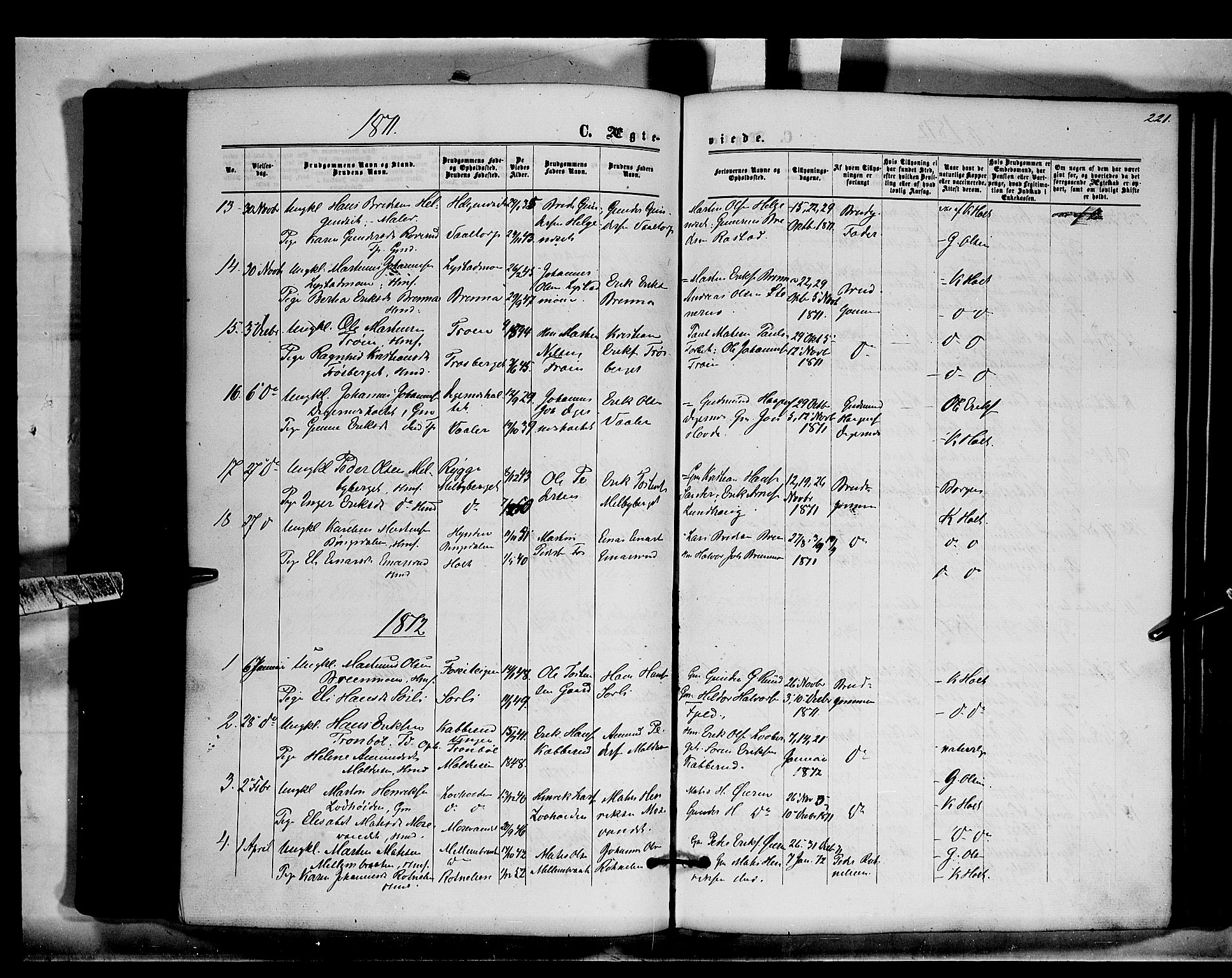 Brandval prestekontor, SAH/PREST-034/H/Ha/Haa/L0001: Parish register (official) no. 1, 1864-1879, p. 221