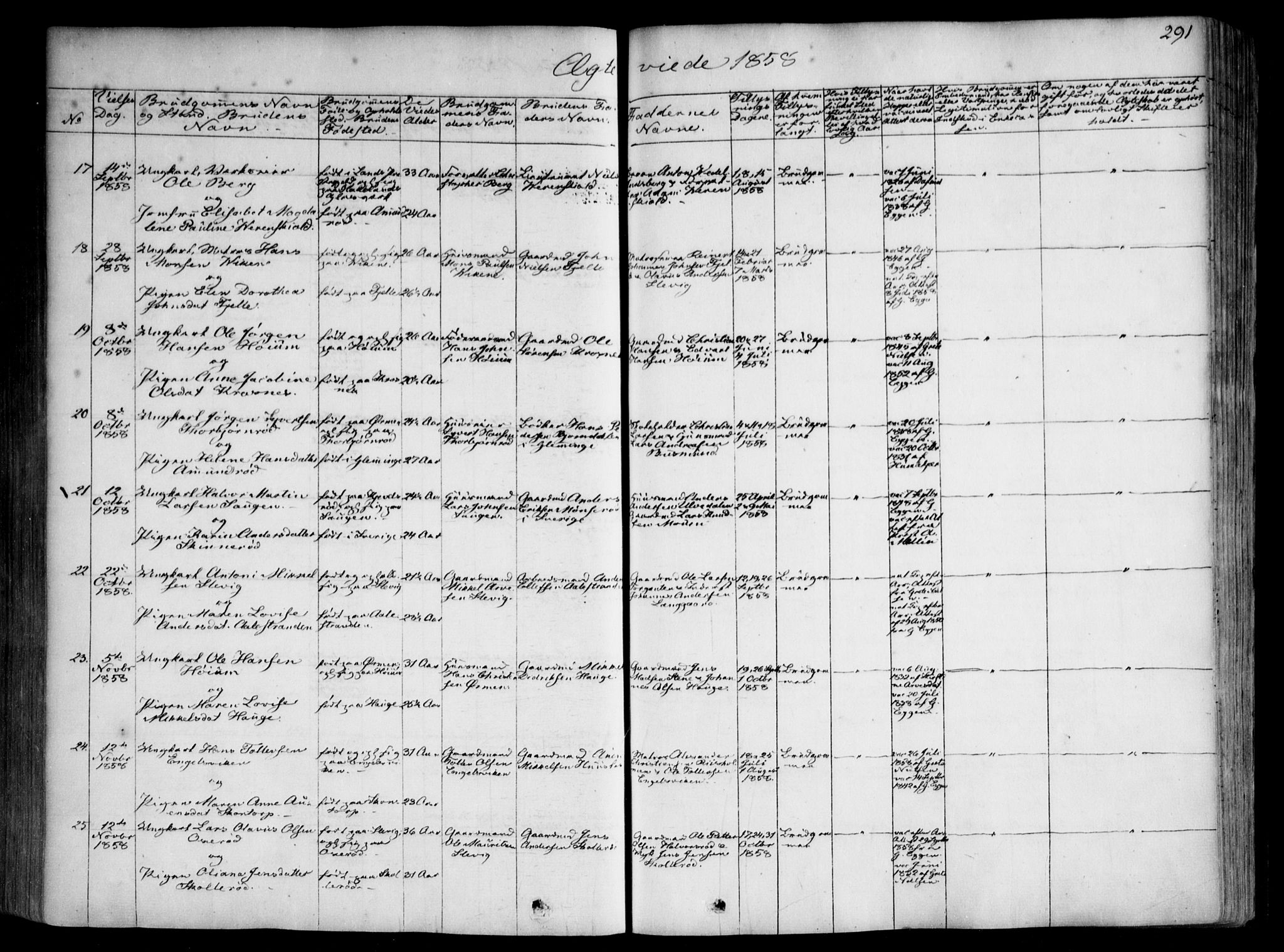 Onsøy prestekontor Kirkebøker, AV/SAO-A-10914/F/Fa/L0003: Parish register (official) no. I 3, 1841-1860, p. 291