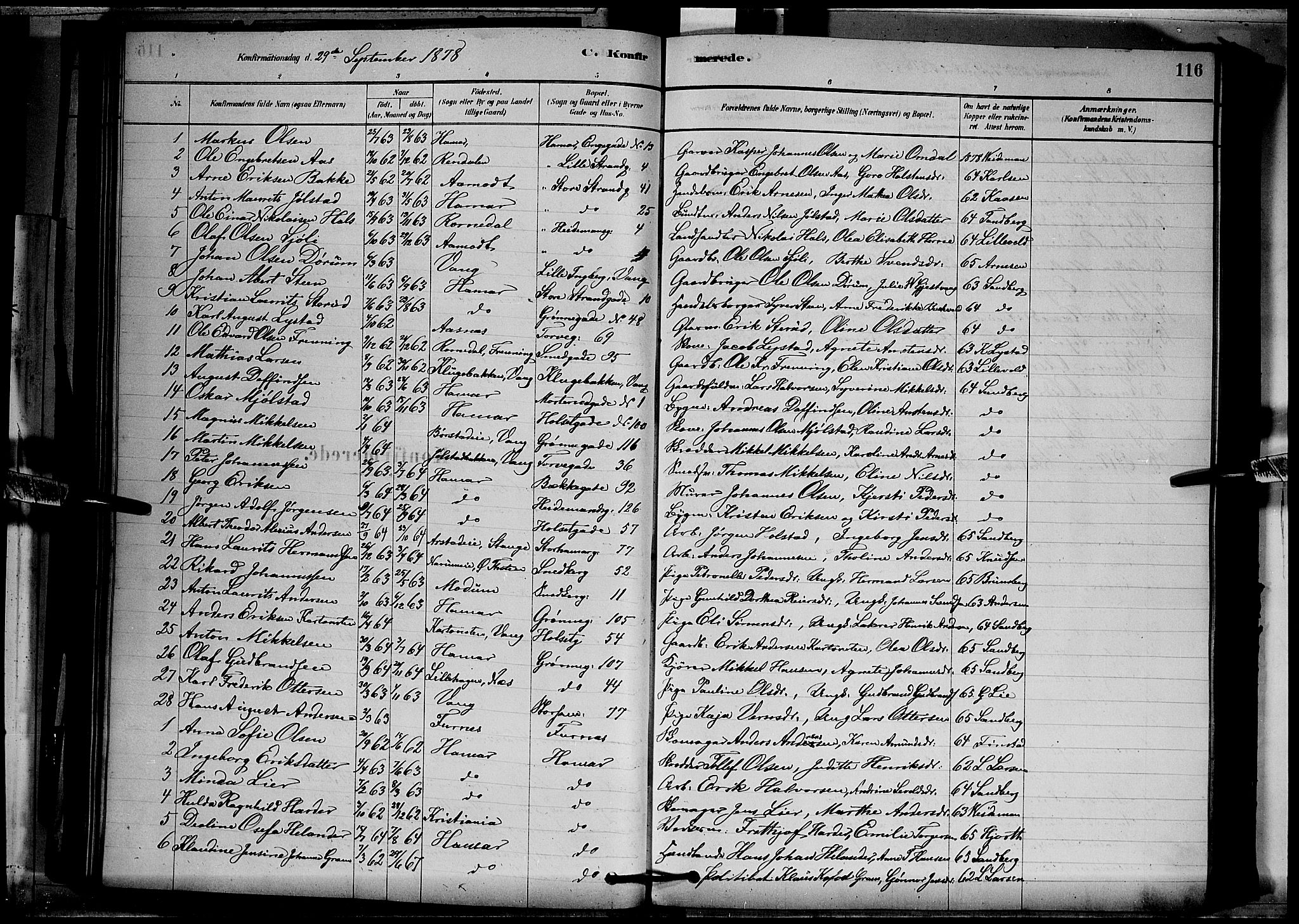 Vang prestekontor, Hedmark, AV/SAH-PREST-008/H/Ha/Hab/L0012: Parish register (copy) no. 12, 1878-1889, p. 116