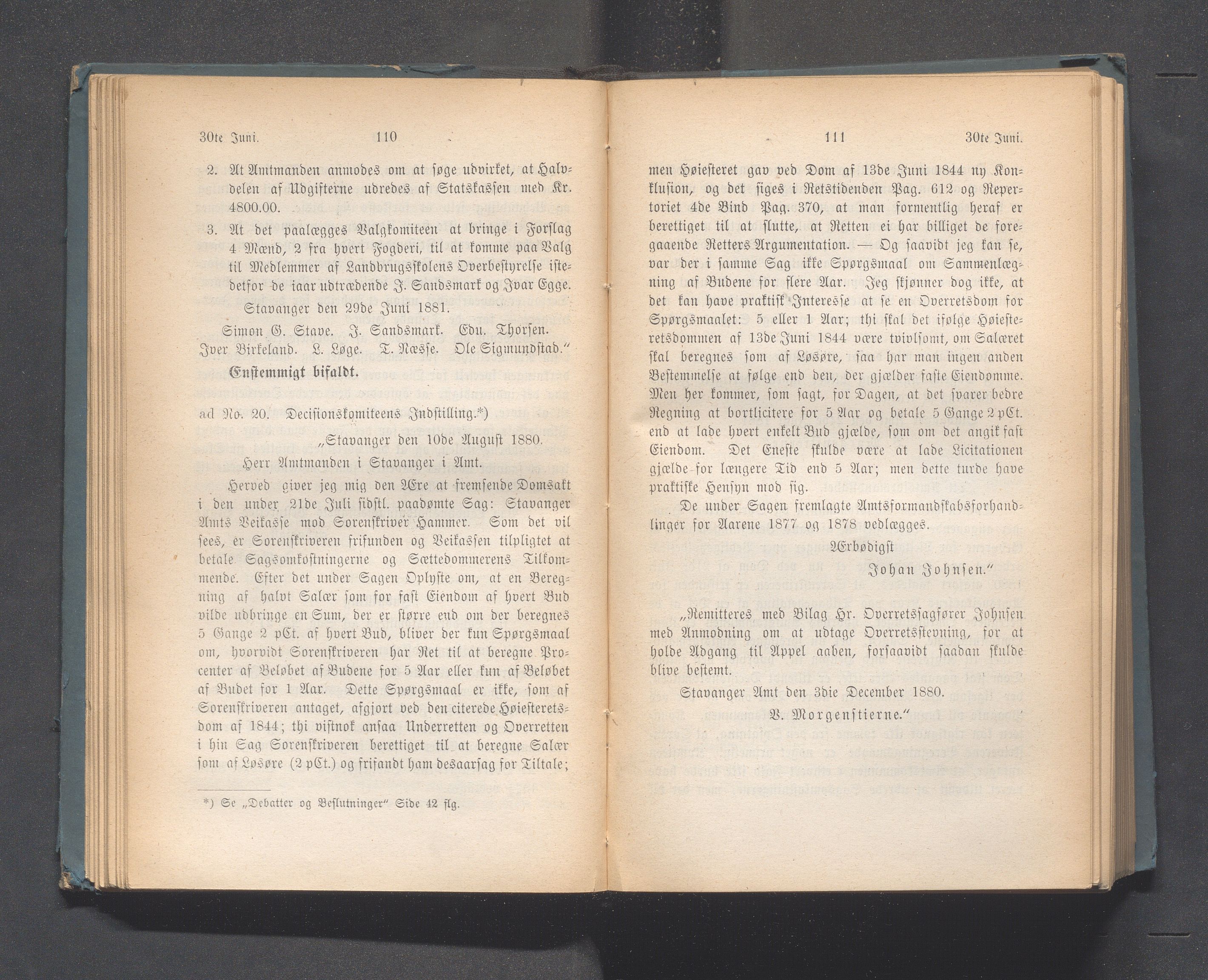 Rogaland fylkeskommune - Fylkesrådmannen , IKAR/A-900/A, 1881, p. 61