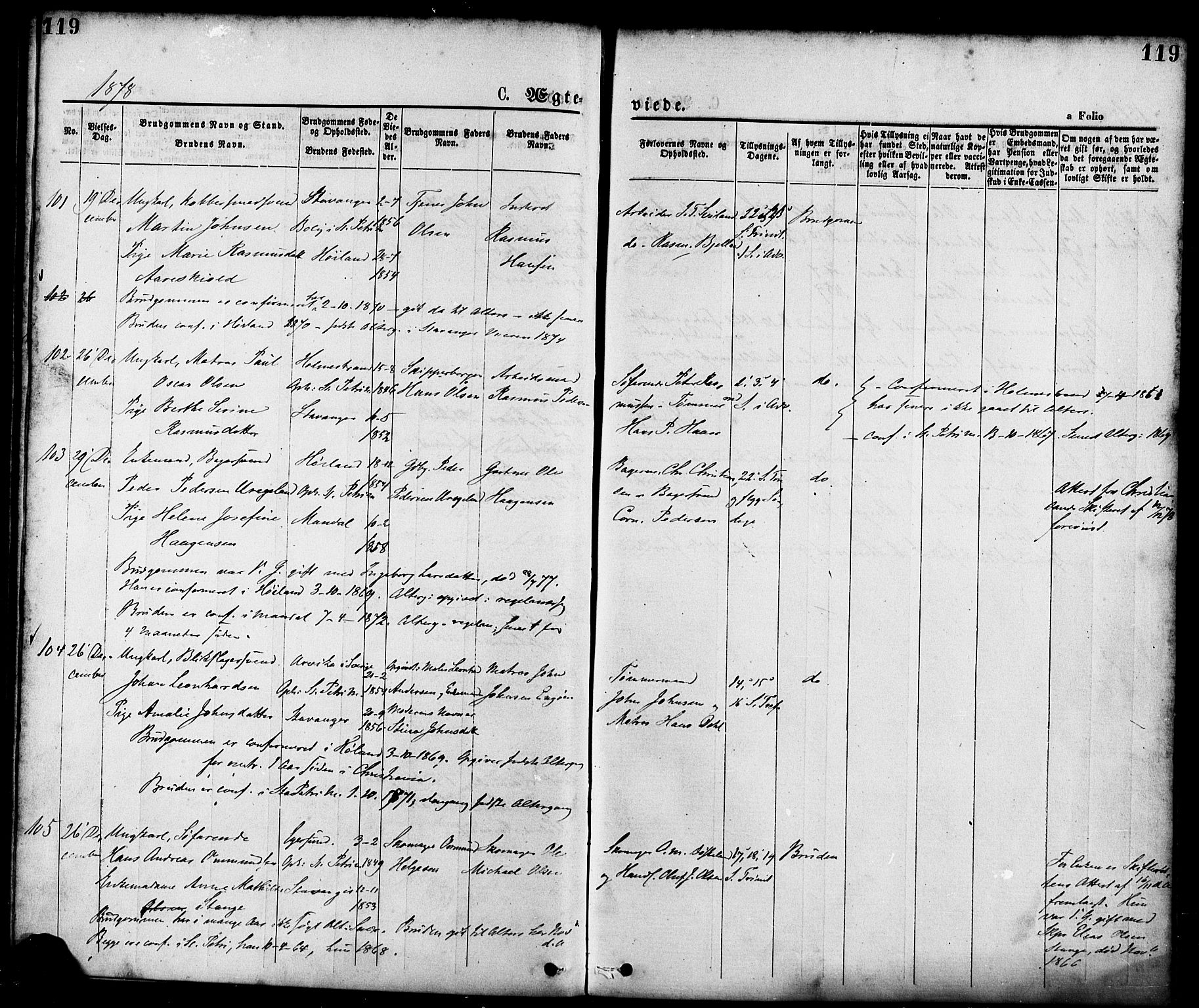 St. Petri sokneprestkontor, AV/SAST-A-101813/001/30/30BA/L0010: Parish register (official) no. A 10, 1869-1878, p. 119