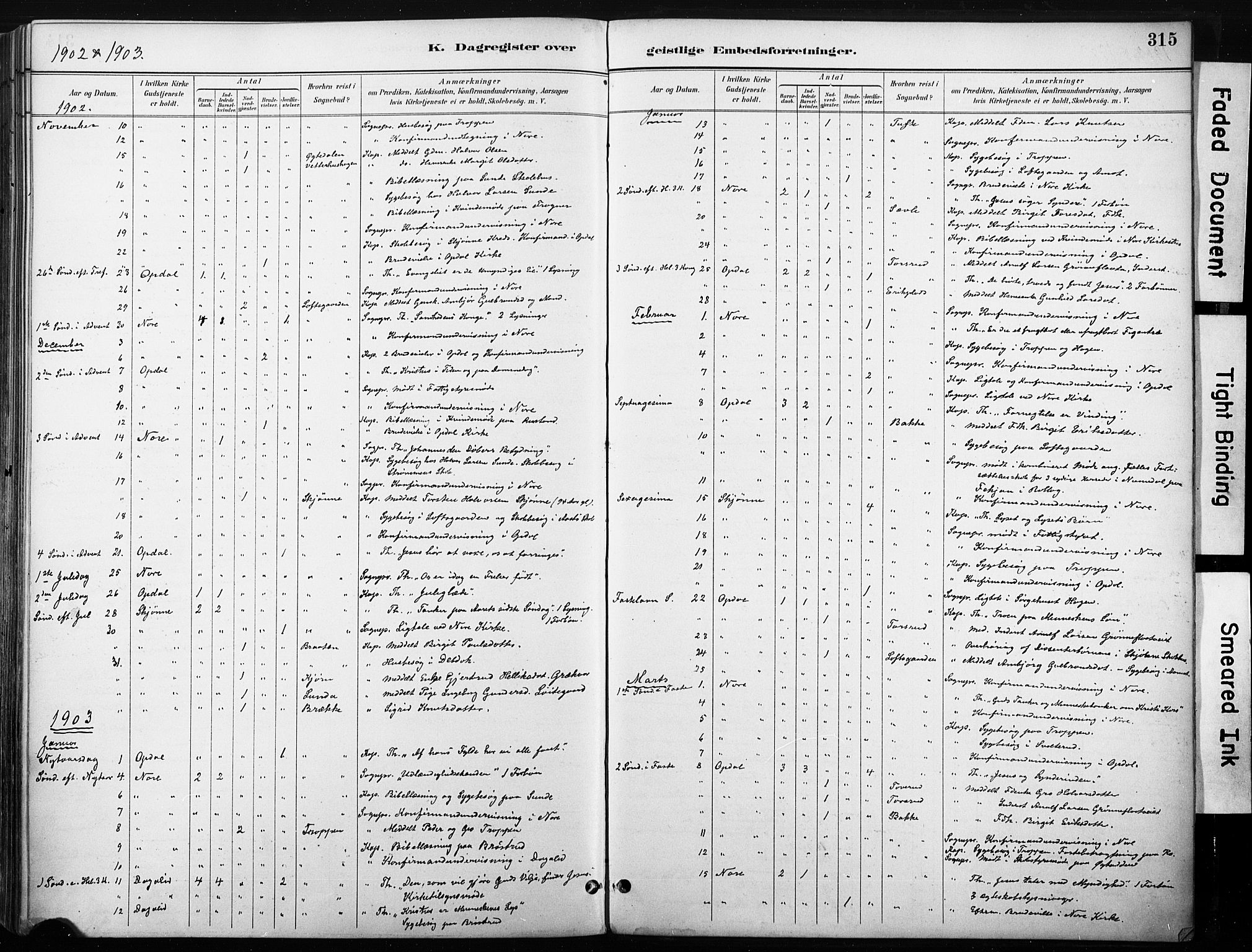 Nore kirkebøker, SAKO/A-238/F/Fb/L0002: Parish register (official) no. II 2, 1886-1906, p. 315