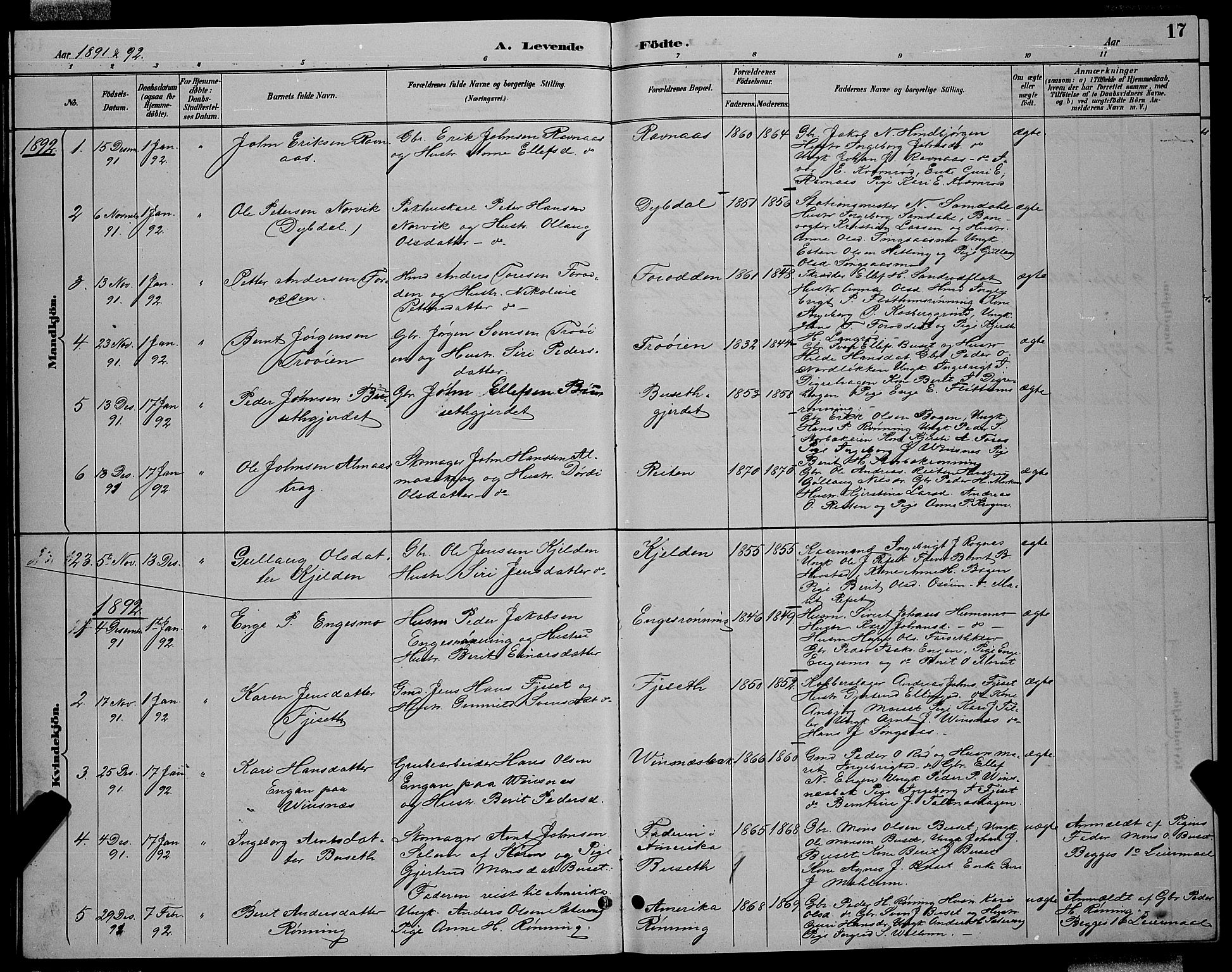 Ministerialprotokoller, klokkerbøker og fødselsregistre - Sør-Trøndelag, SAT/A-1456/688/L1028: Parish register (copy) no. 688C03, 1889-1899, p. 17
