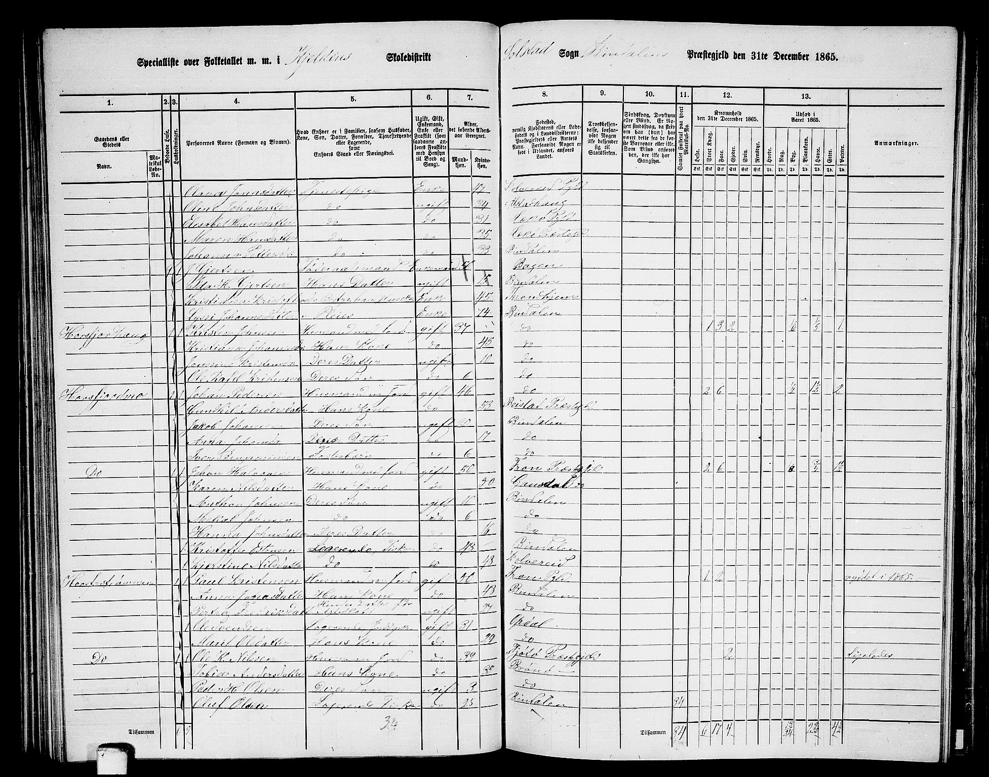 RA, 1865 census for Bindal, 1865, p. 60