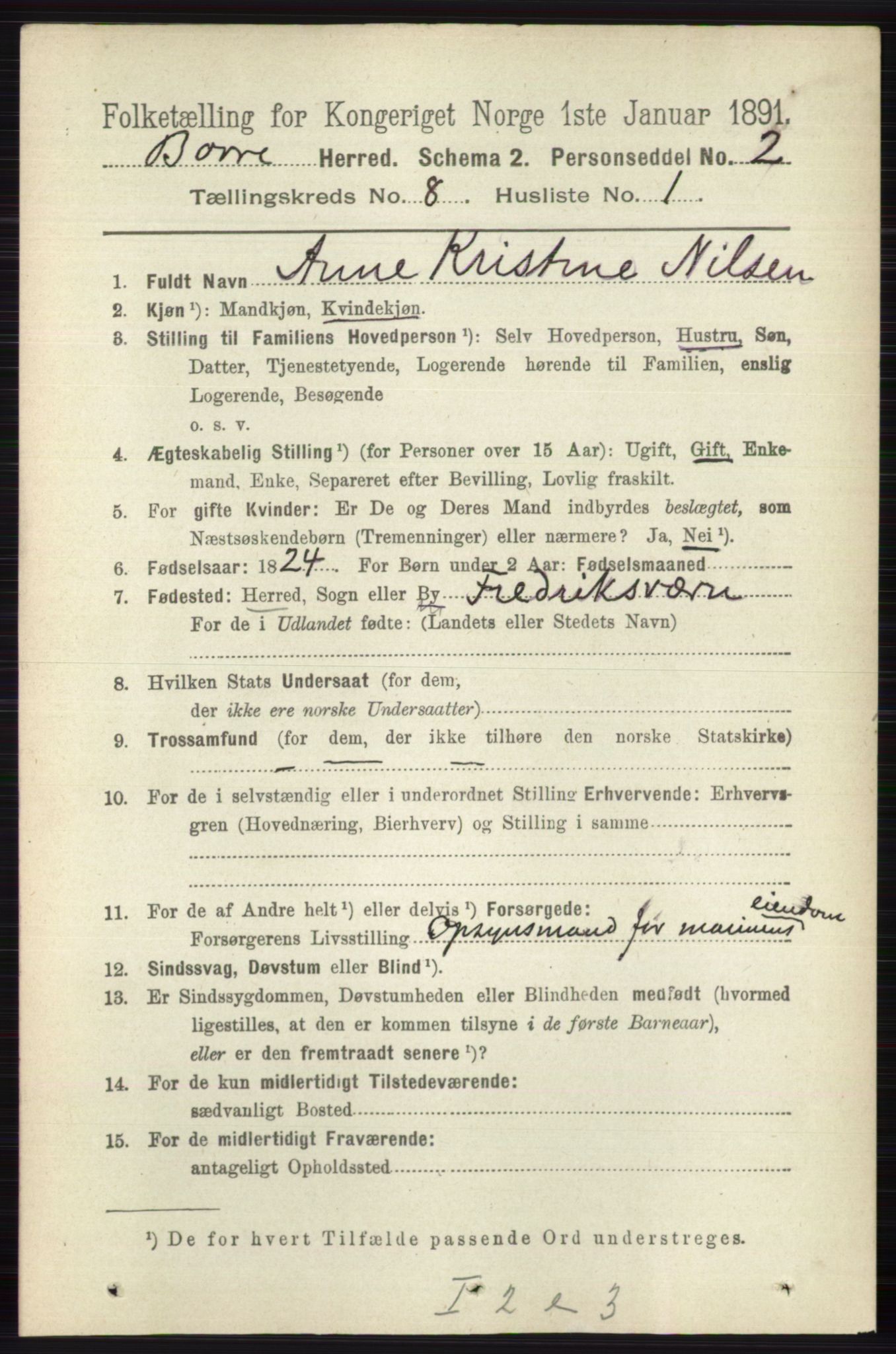 RA, 1891 census for 0717 Borre, 1891, p. 3685