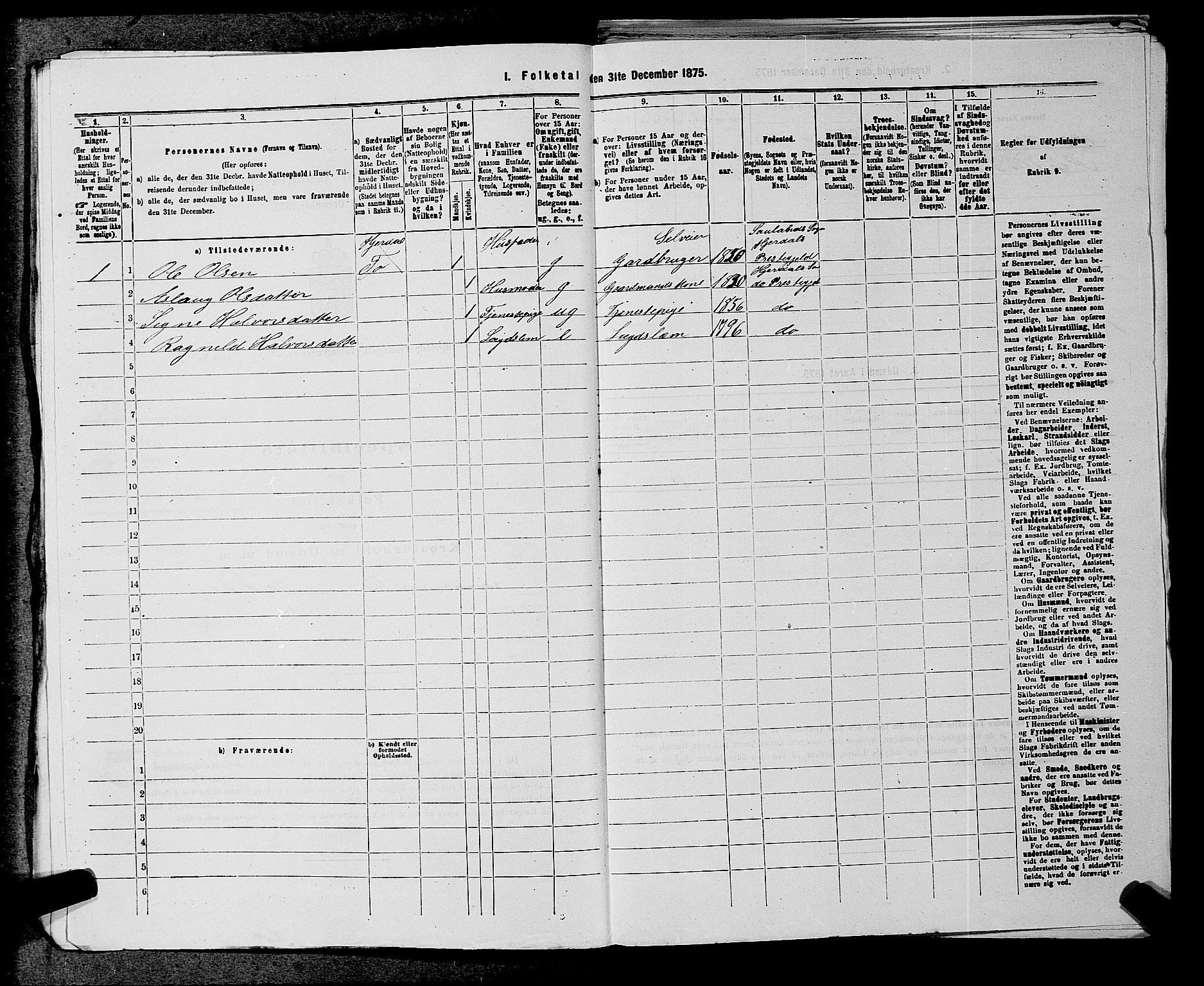 SAKO, 1875 census for 0827P Hjartdal, 1875, p. 344