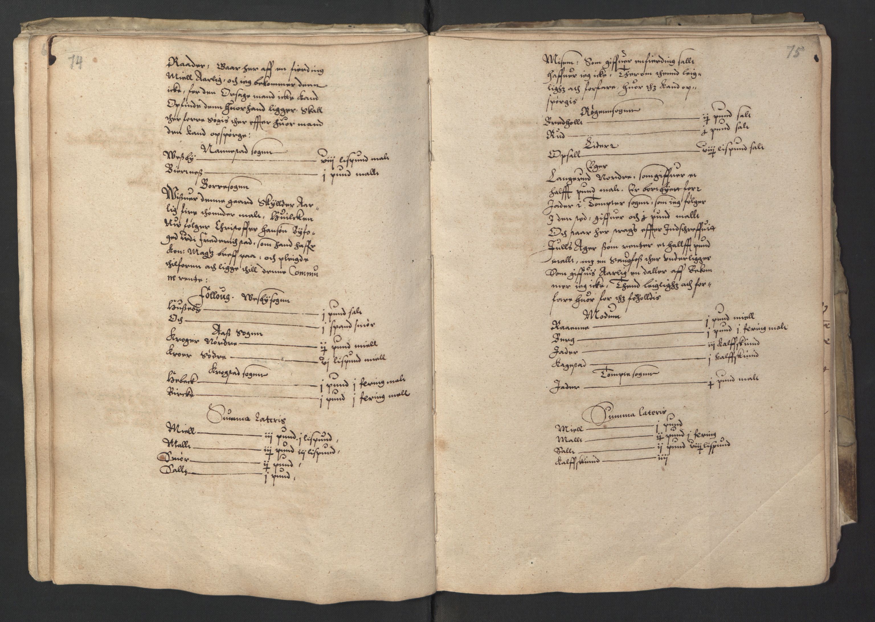 Stattholderembetet 1572-1771, RA/EA-2870/Ek/L0001/0001: Jordebøker før 1624 og til utligning av garnisonsskatt 1624-1626: / Jordebok for Oslo kapitel, 1595, p. 43