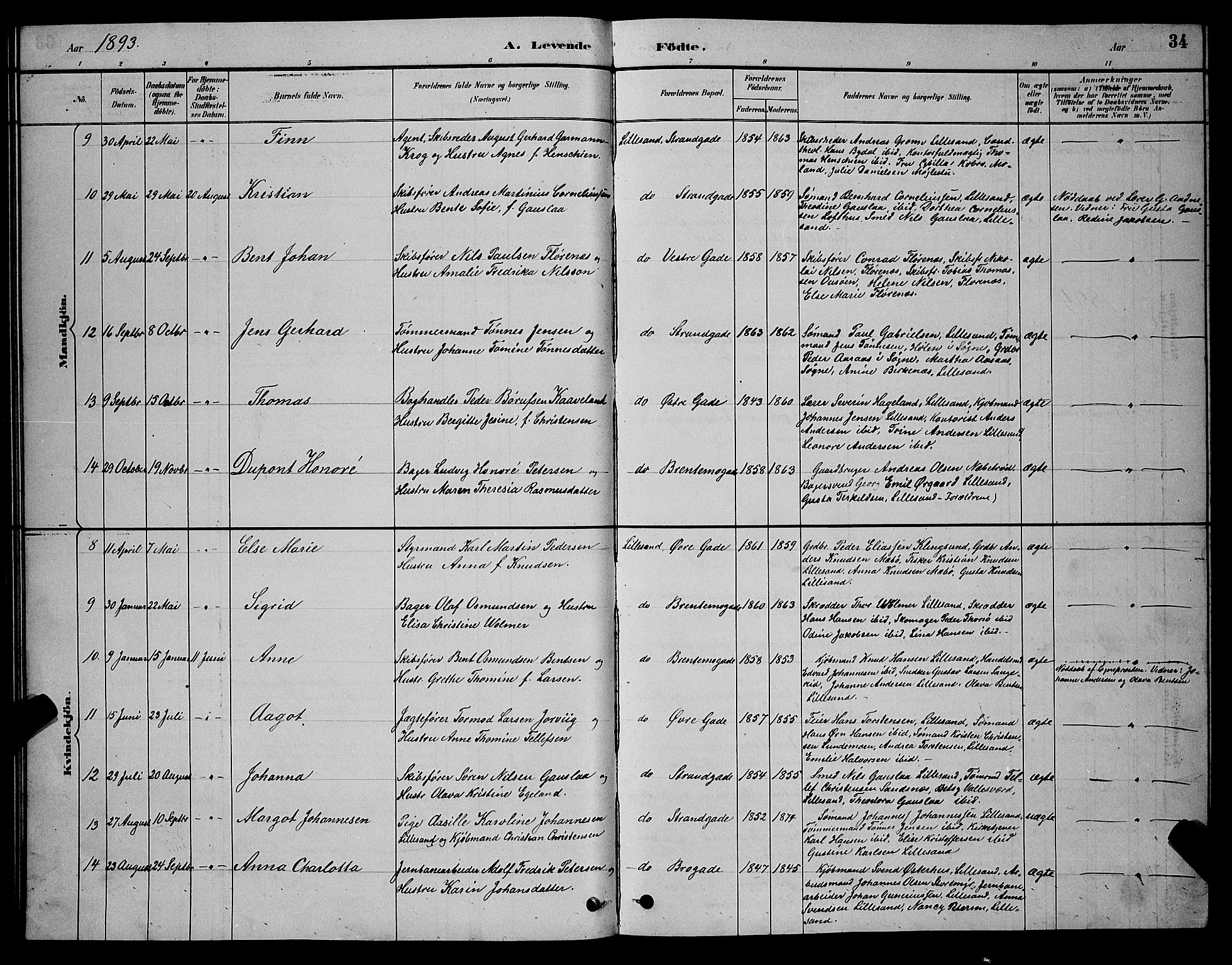 Vestre Moland sokneprestkontor, SAK/1111-0046/F/Fb/Fba/L0001: Parish register (copy) no. B 1, 1884-1903, p. 34