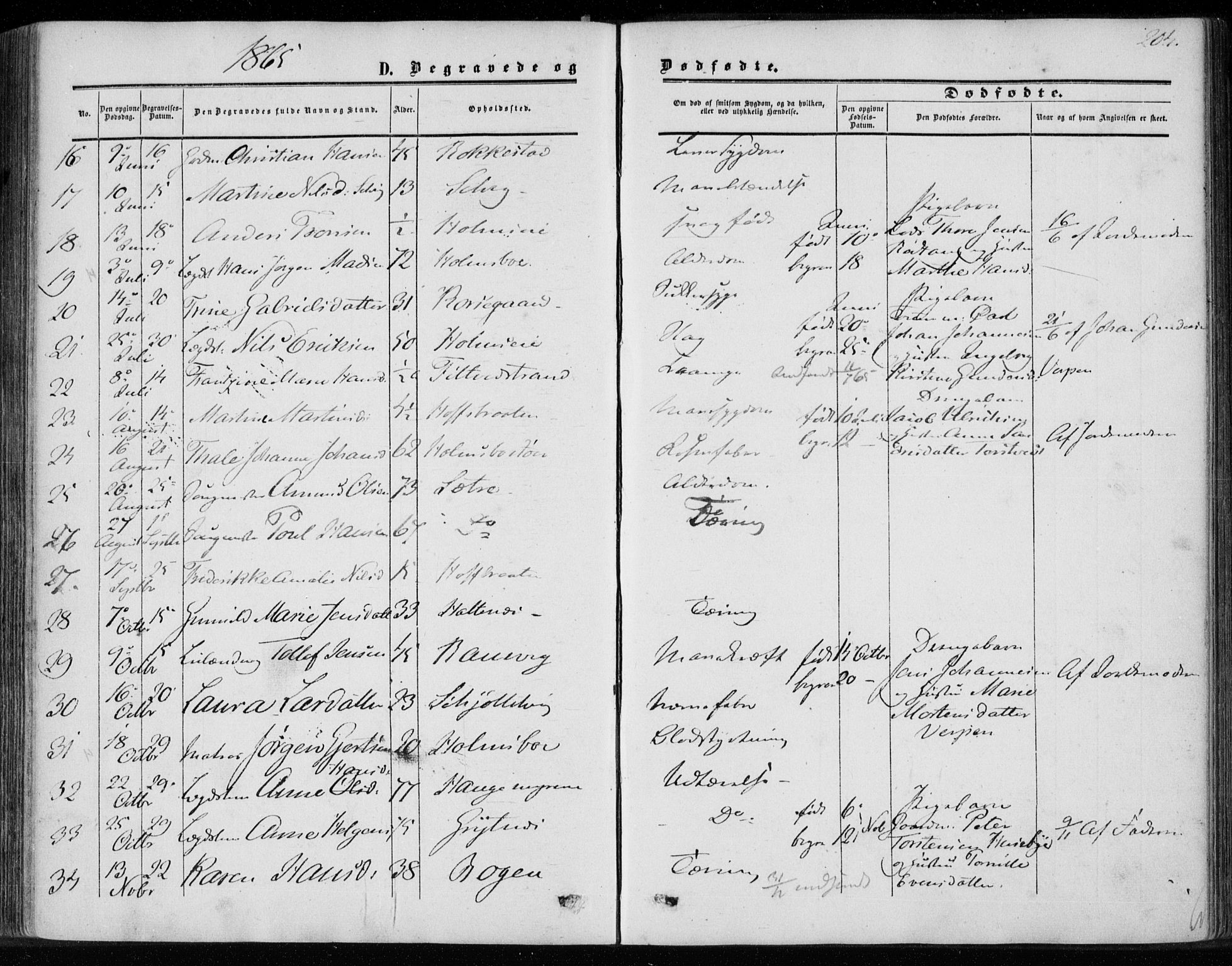 Hurum kirkebøker, AV/SAKO-A-229/F/Fa/L0012: Parish register (official) no. 12, 1861-1875, p. 204