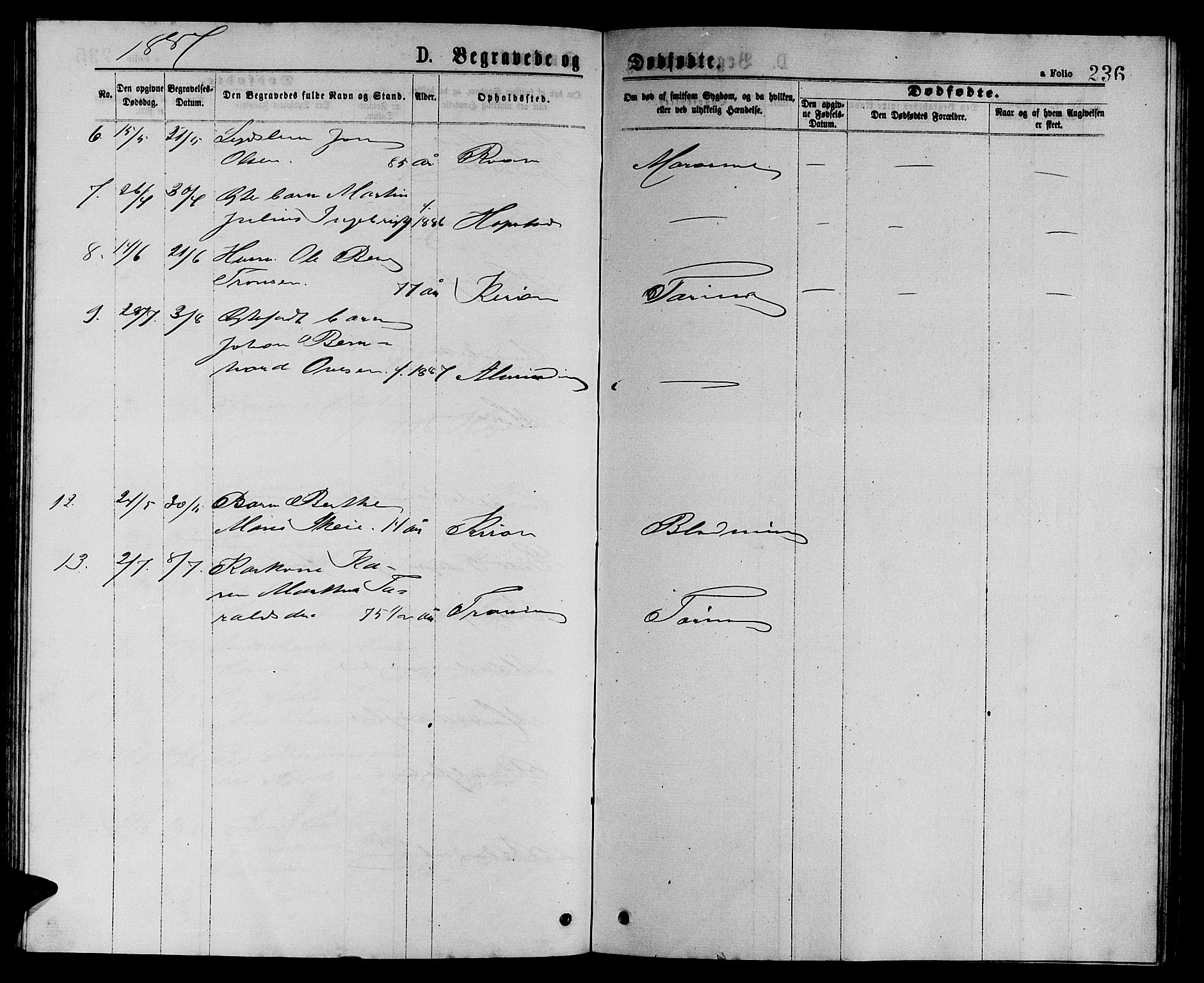 Ministerialprotokoller, klokkerbøker og fødselsregistre - Sør-Trøndelag, SAT/A-1456/657/L0715: Parish register (copy) no. 657C02, 1873-1888, p. 236