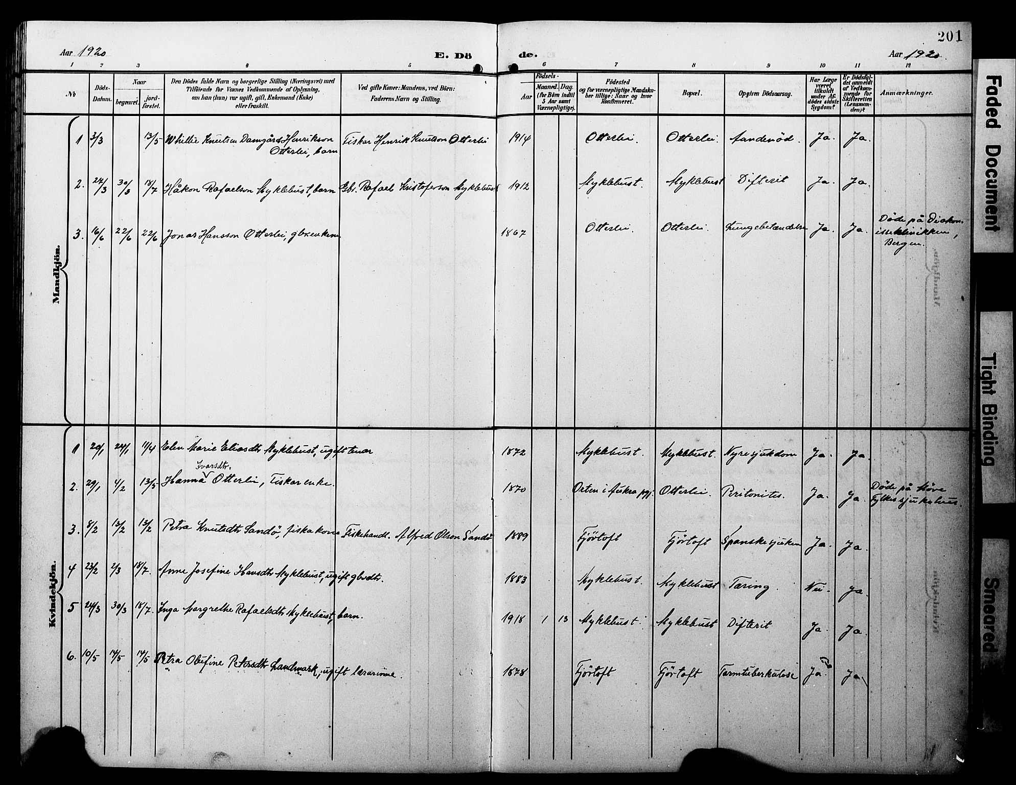 Ministerialprotokoller, klokkerbøker og fødselsregistre - Møre og Romsdal, AV/SAT-A-1454/538/L0524: Parish register (copy) no. 538C02, 1901-1931, p. 201