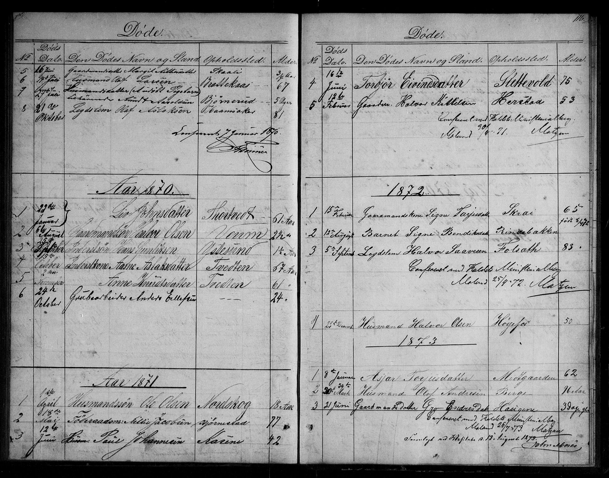 Fyresdal kirkebøker, SAKO/A-263/G/Gb/L0001: Parish register (copy) no. II 1, 1864-1890, p. 116