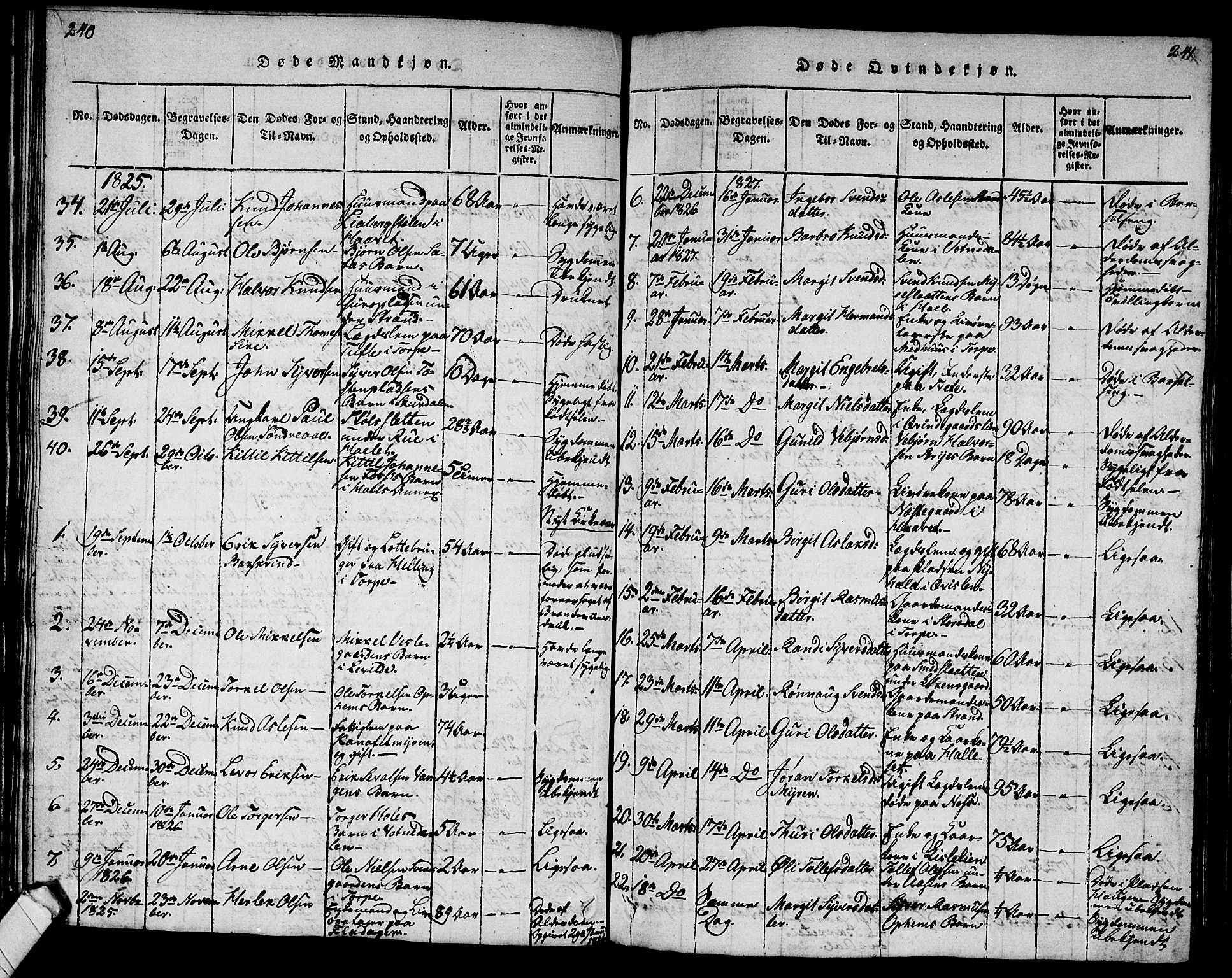 Ål kirkebøker, AV/SAKO-A-249/G/Ga/L0001: Parish register (copy) no. 1, 1815-1829, p. 240-241