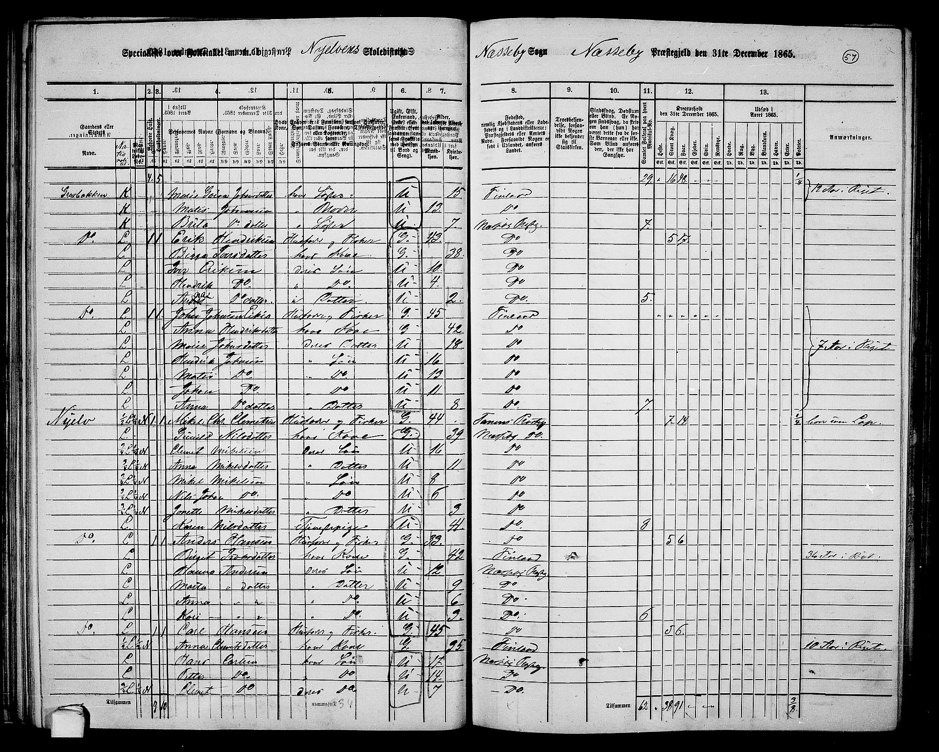 RA, 1865 census for Nesseby, 1865, p. 45