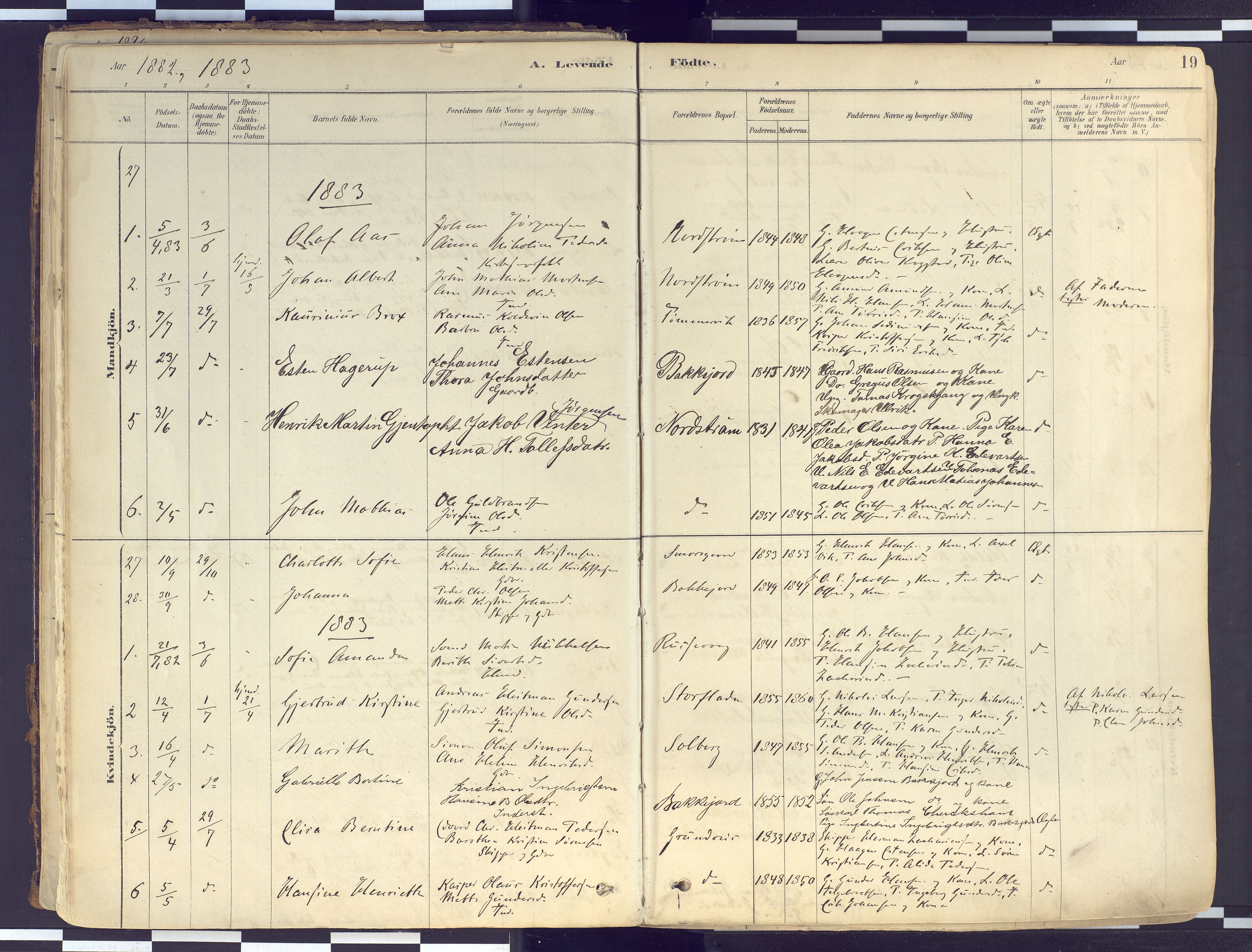 Tranøy sokneprestkontor, AV/SATØ-S-1313/I/Ia/Iaa/L0010kirke: Parish register (official) no. 10, 1878-1904, p. 19