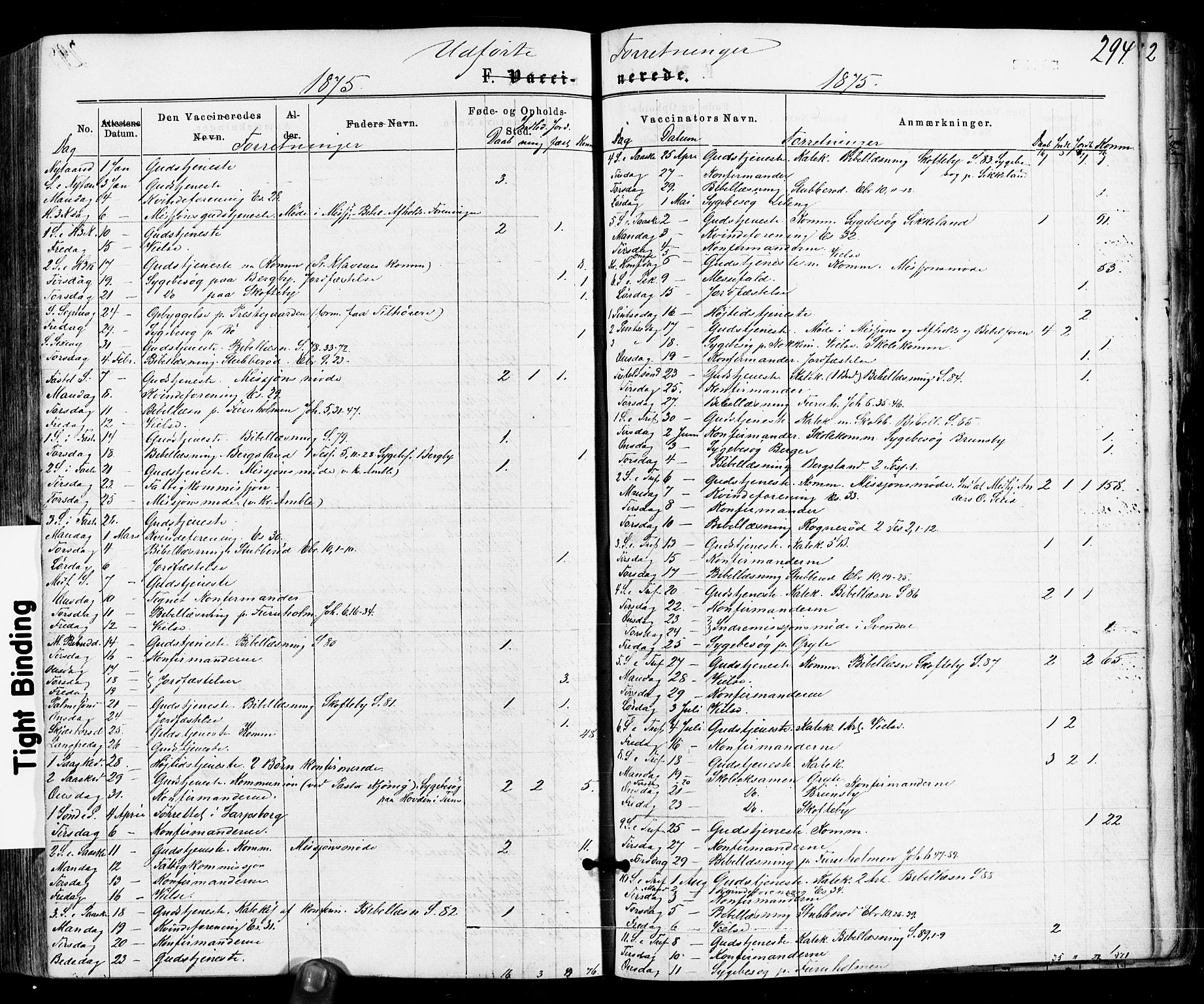 Varteig prestekontor Kirkebøker, AV/SAO-A-10447a/F/Fa/L0001: Parish register (official) no. 1, 1861-1877, p. 294