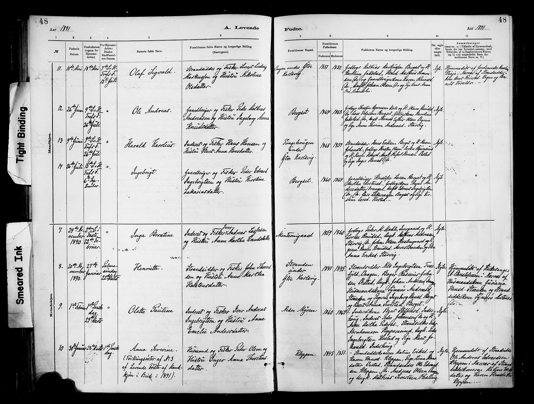 Ministerialprotokoller, klokkerbøker og fødselsregistre - Møre og Romsdal, AV/SAT-A-1454/566/L0769: Parish register (official) no. 566A08, 1881-1903, p. 48