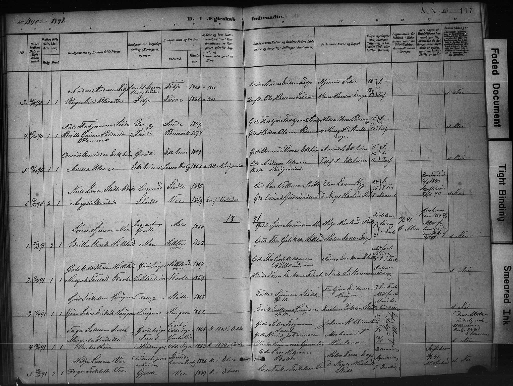Etne sokneprestembete, SAB/A-75001/H/Hab: Parish register (copy) no. A 5, 1879-1896, p. 117