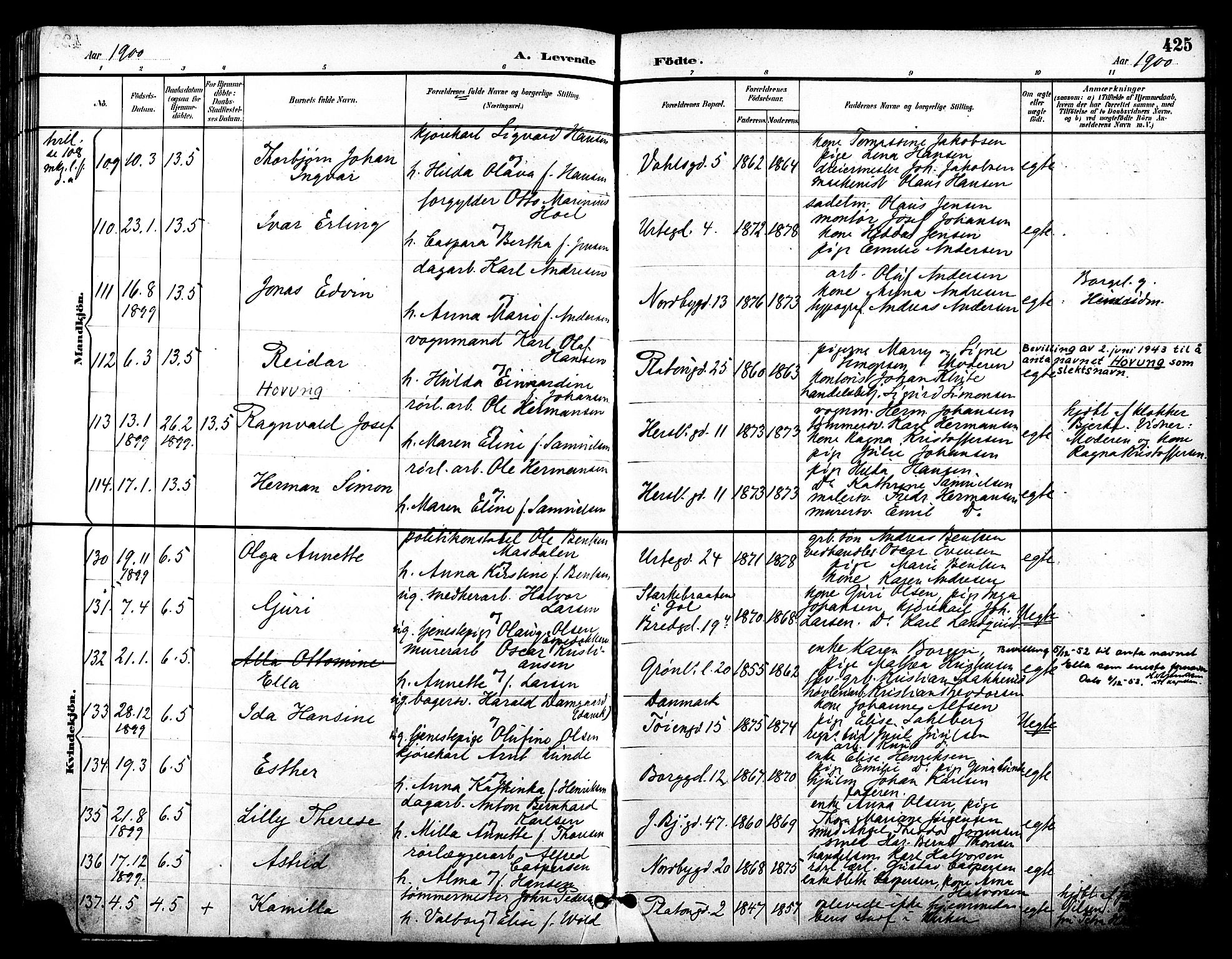Grønland prestekontor Kirkebøker, SAO/A-10848/F/Fa/L0012: Parish register (official) no. 12, 1893-1900, p. 425