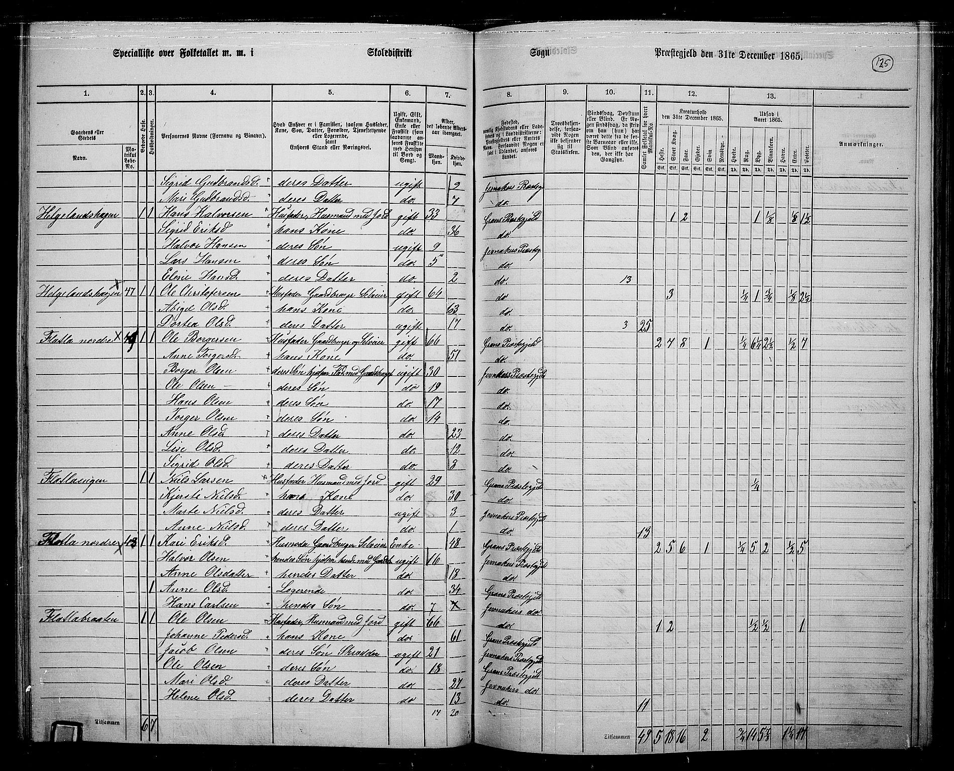 RA, 1865 census for Jevnaker, 1865, p. 119