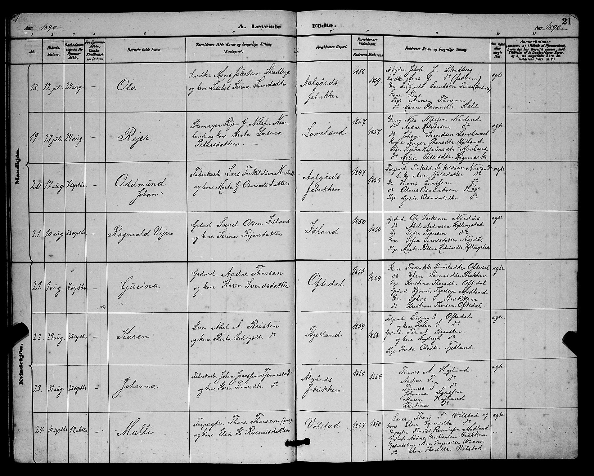 Lye sokneprestkontor, AV/SAST-A-101794/001/30BB/L0008: Parish register (copy) no. B 7, 1887-1901, p. 21